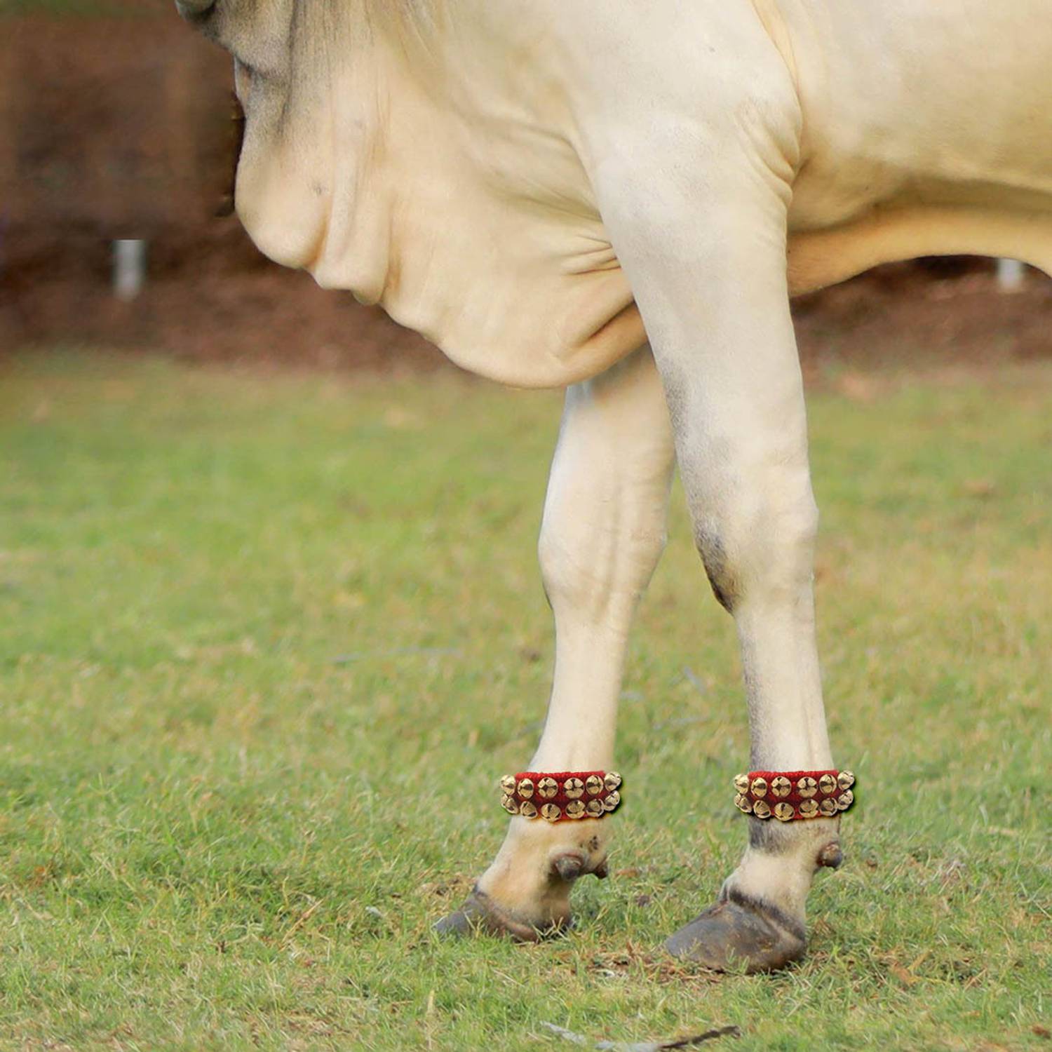 AAGAAZ payal/painjan/kada for Cow Calf,Buffalo,Bull,Oxen & Horses - (1 Pair) Bell Cow Collar Charm