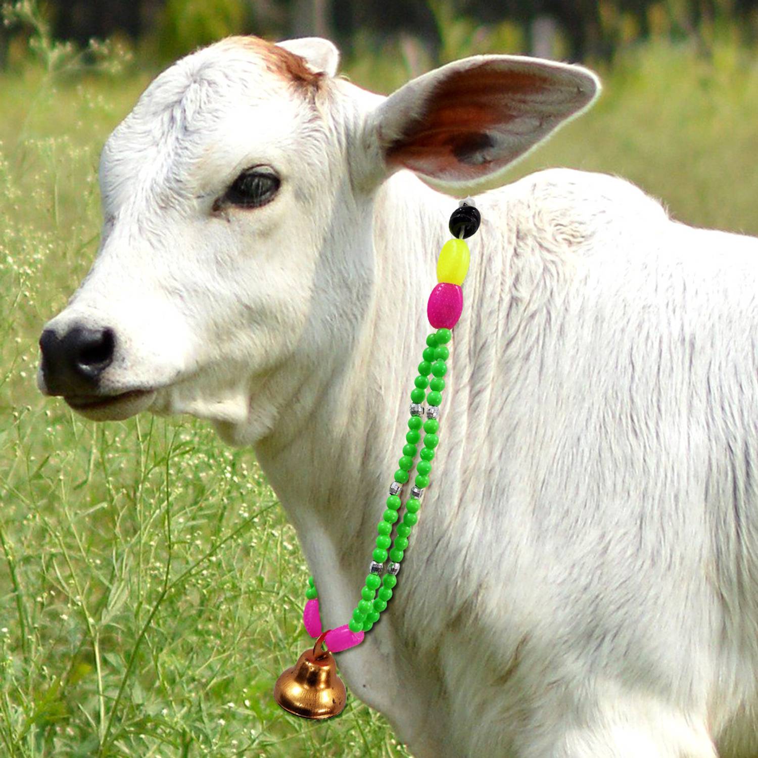 AAGAAZ ent Decorative Cow,bull,buffalo Bell Belt ,cow collar,cow neck belt Bell Cow Collar Charm