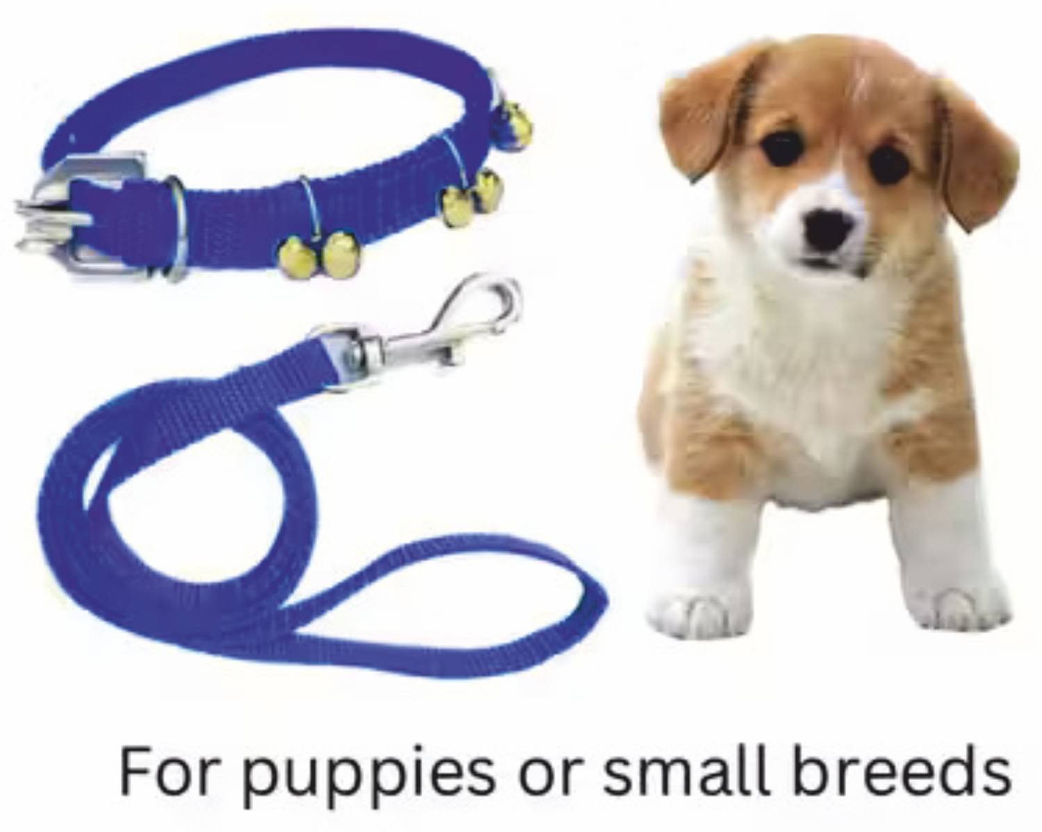 BODY BUILDING Dog Ghungroo Collar Adjustable Comfortable for Dog & Cat Collar & Leash