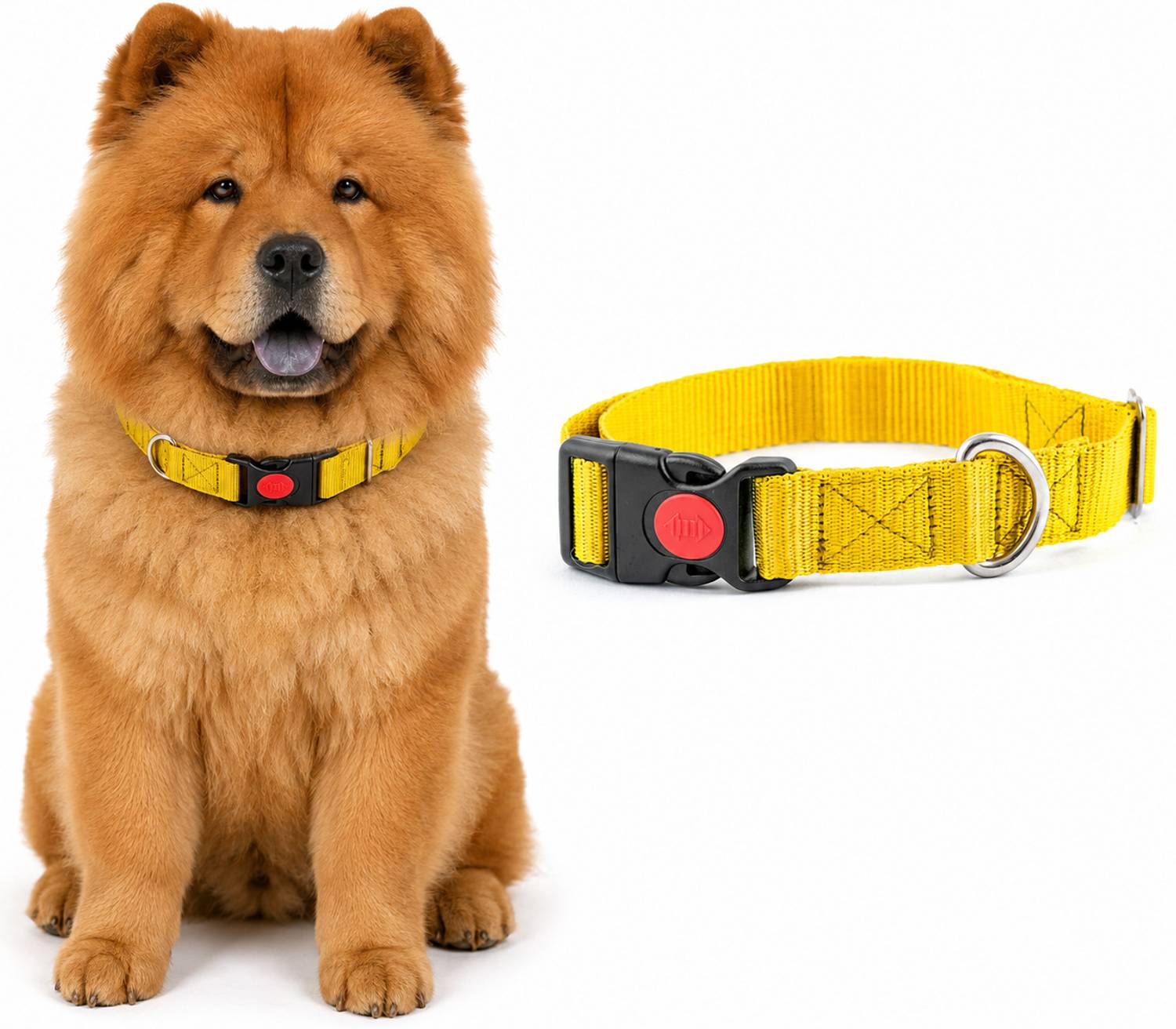 ADIL'S Adjustable Nylon Dog Collar with Quick Release Buckle Closure (Width: 1 Inch) | Dog Everyday Collar