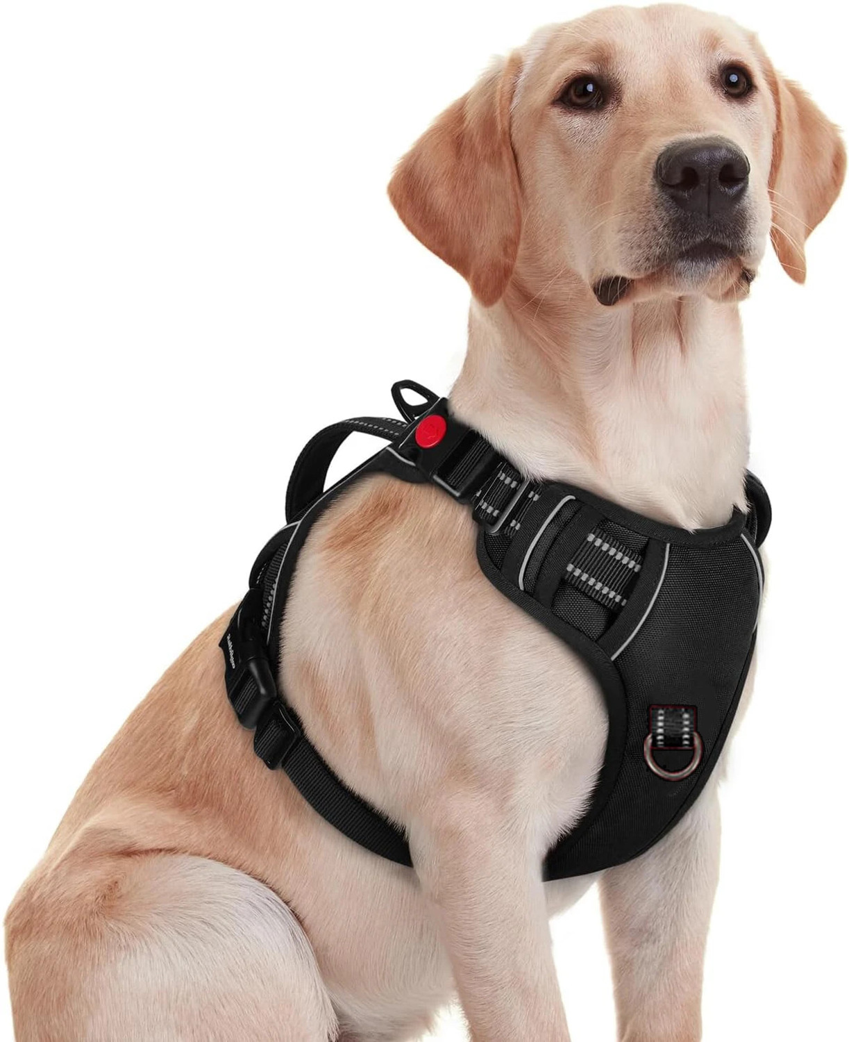 Image of Pawxie Dog Chest Belt Harness | Comfortable & Adjustable Size For 14-23 Kg Pet Dog Standard Harness