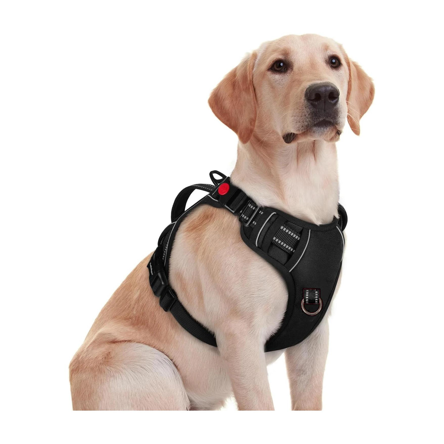 Image of Pawxie Dog Chest Belt Harness | Comfortable & Adjustable Size For 5-13 Kg Pet Dog Standard Harness