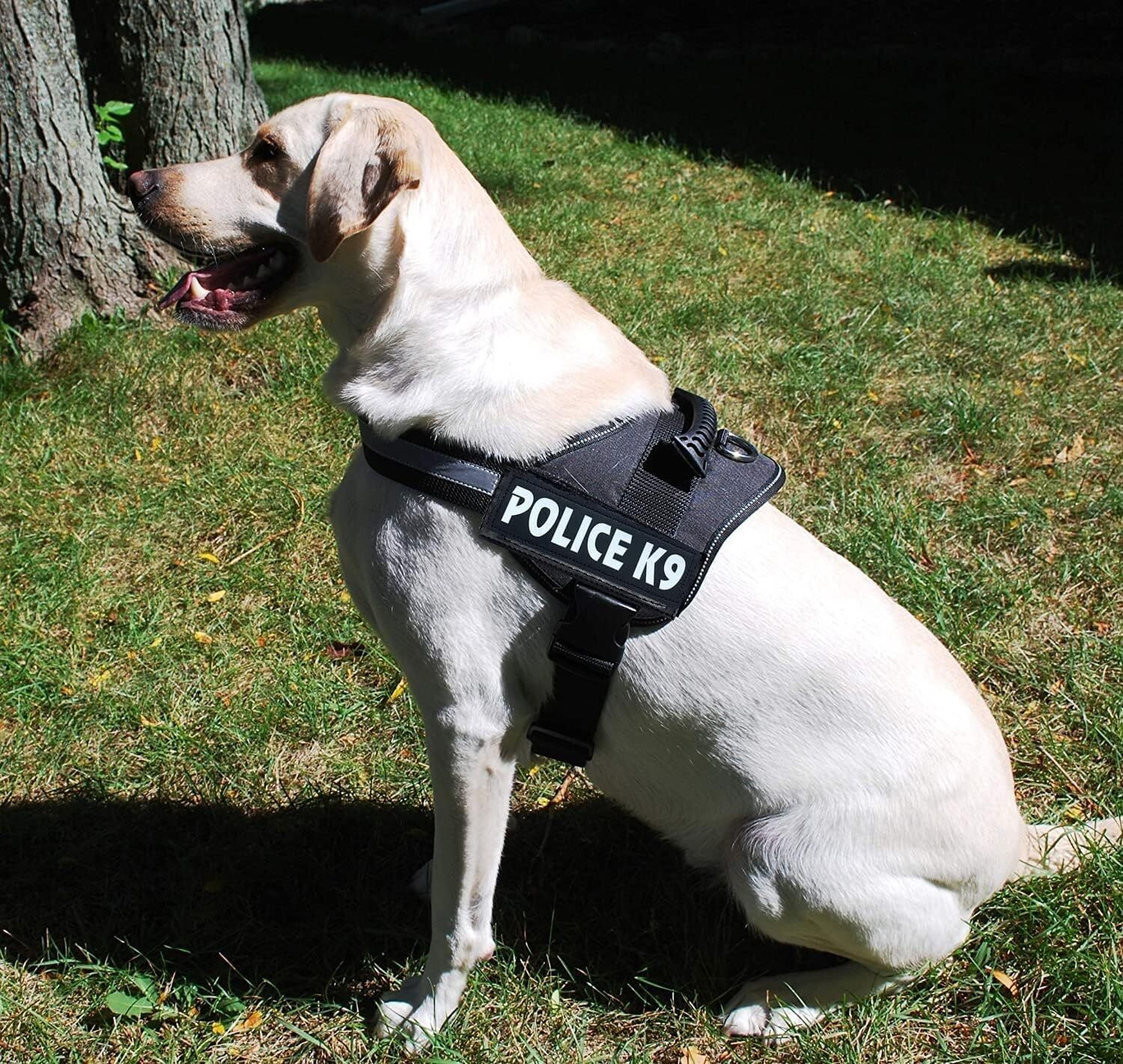Image of Tame Love Police K9 Harness Body Belt with Padded Rope Dog Harness & Leash