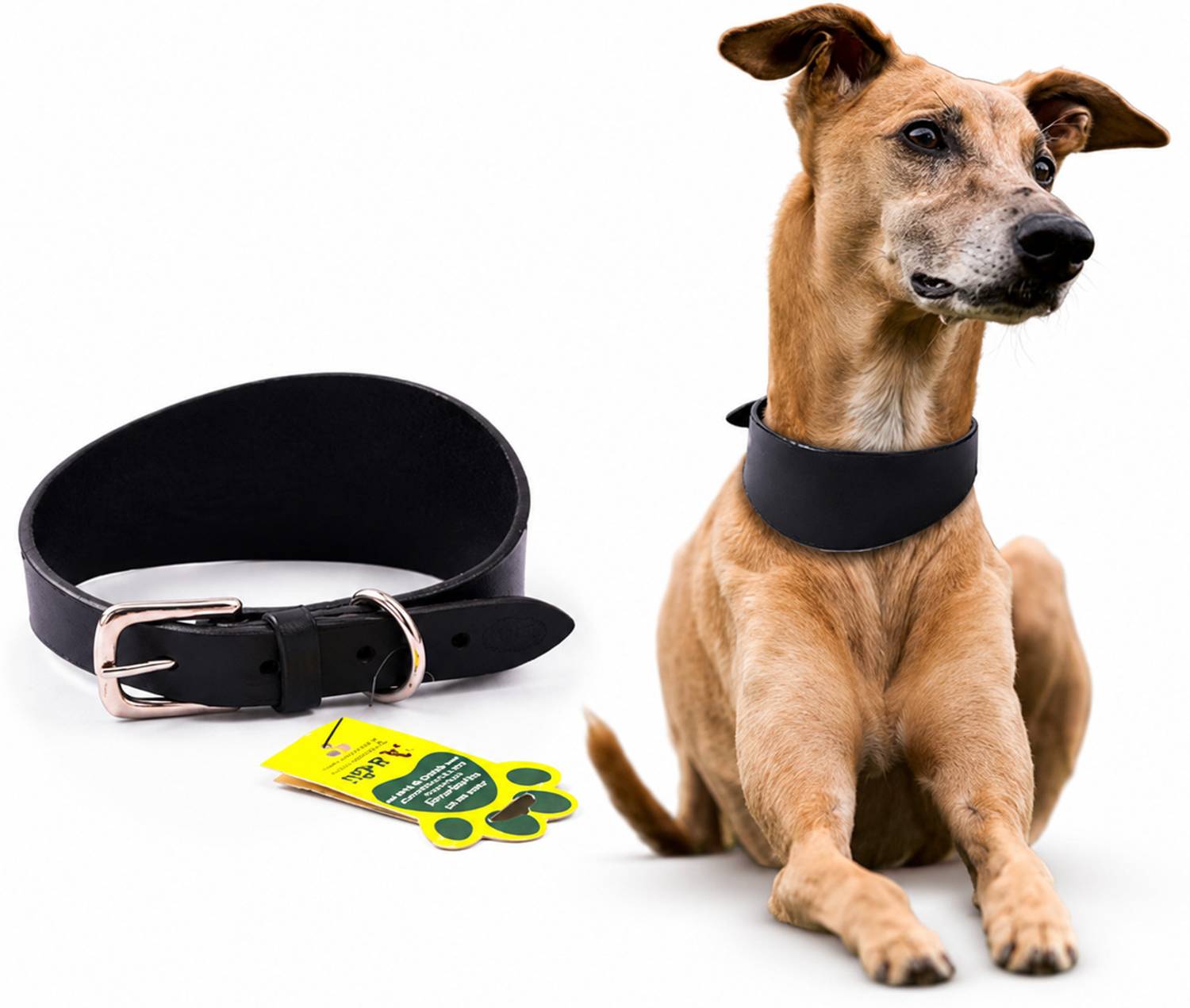 ADIL'S Leather Dog Collar for Greyhound, Saluki & Whippet Dogs Dog Everyday Collar