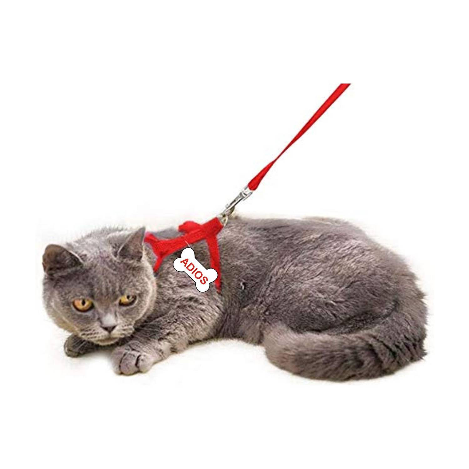 ADIOS Cat Harness with Black Leash for All Cats & Kitten Easy to Fit Easy to Control Cat Harness & Leash