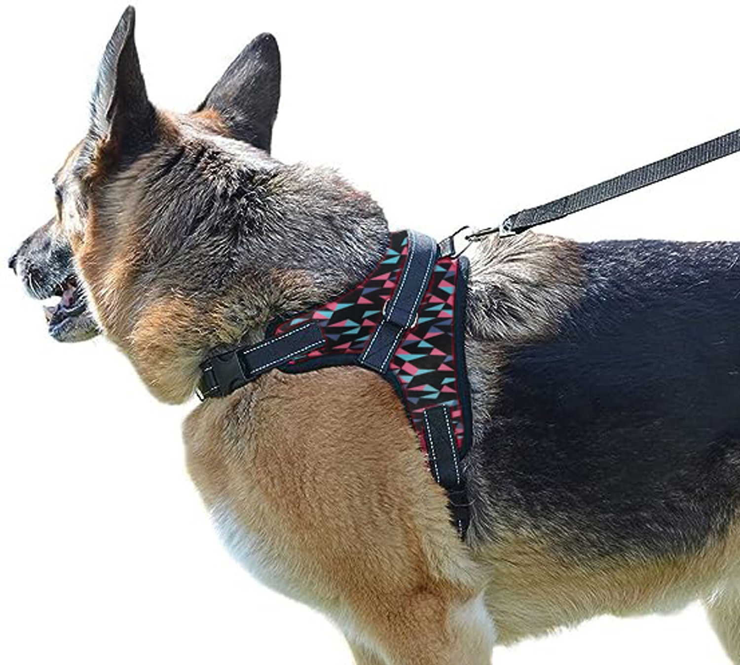 Image of Cocker Dog & Cat Harness & Leash