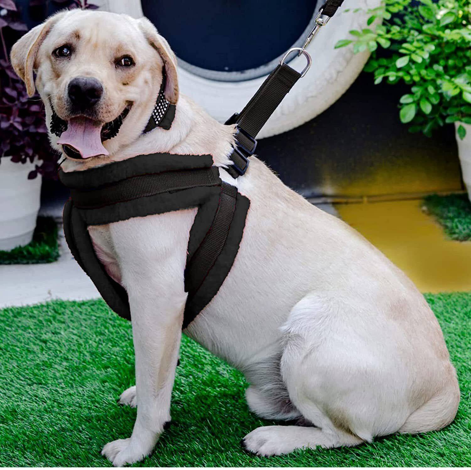 Aftra Combo Pack Soft Comfortable Breakaway Closure Dog Harness & Leash