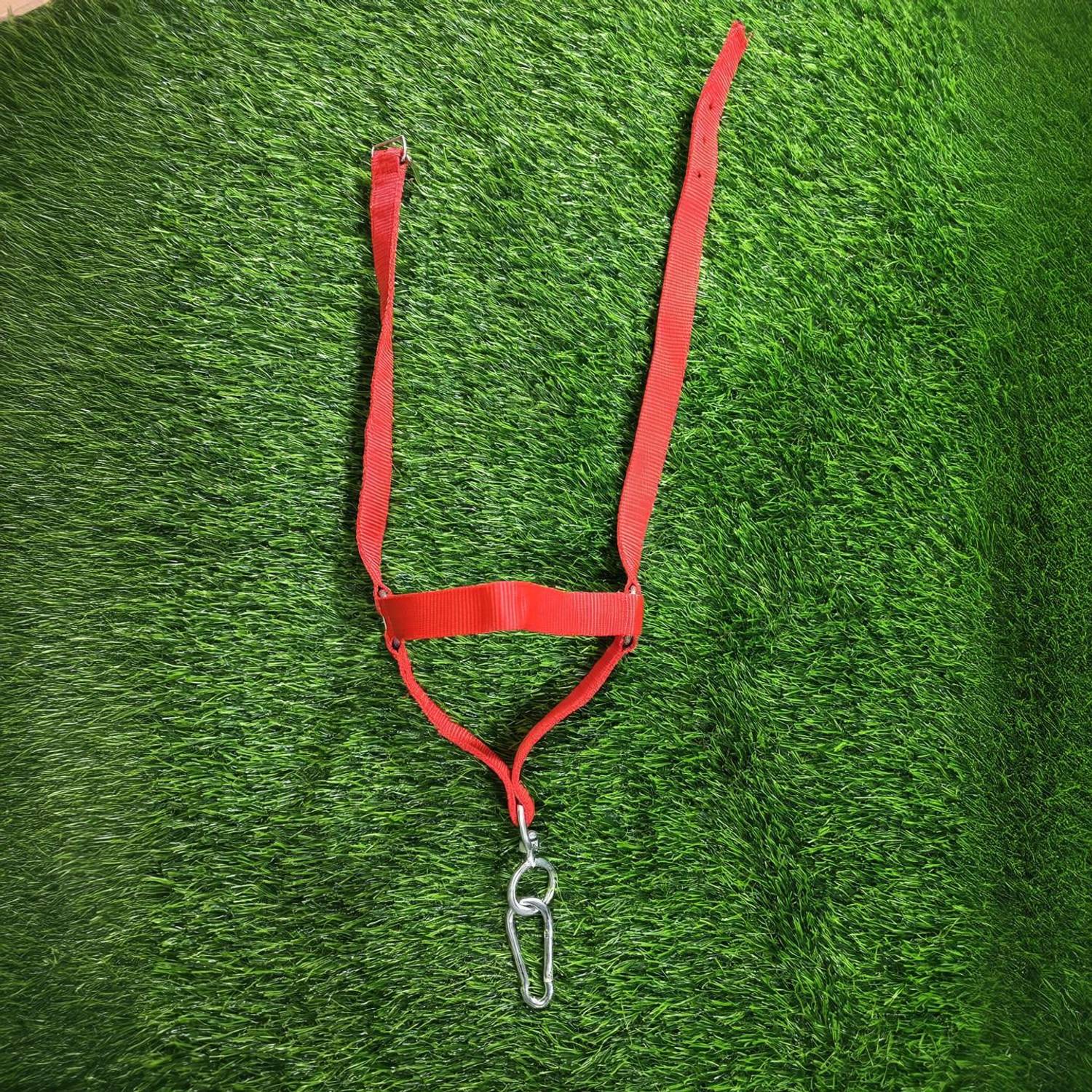 Amar Cotton Baby Cow Mohri/Morkhi/Halter With Strong Bhorkali With 7 MM Snap Hook Cow Standard Harness
