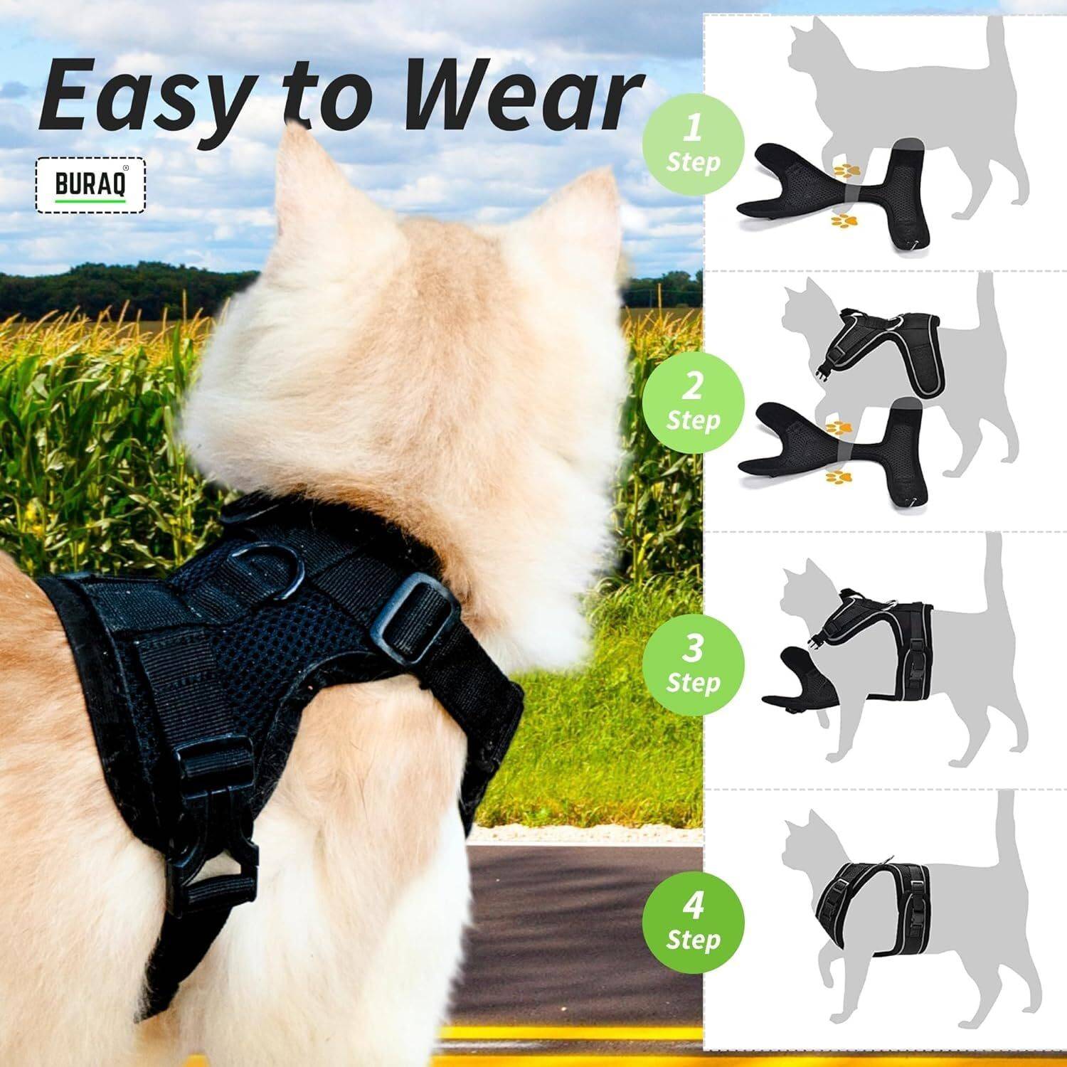 Buraq Escape Proof No Pull Cat Harness with Leash & 2 Collars - Image 4