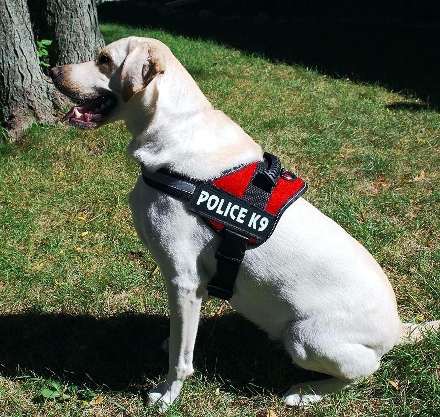 Image of Tame Love Police K9 Harness Body Belt with Padded Rope Dog Harness & Leash