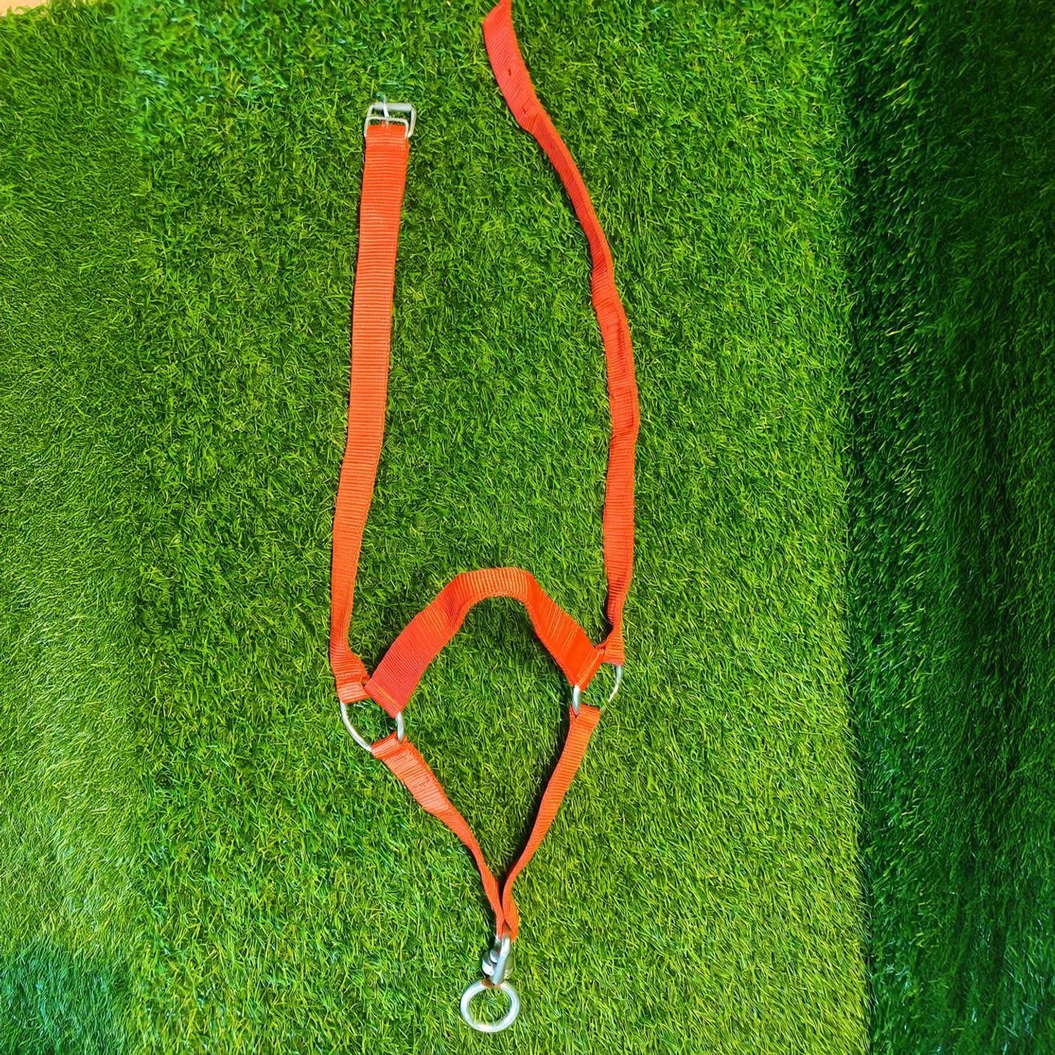 Amar Cotton Amar Cotton Buffalo/Gir Cow Morkhi/Mohra/Mohri/Halter With Strong Bhorkali Cow Safety Harness