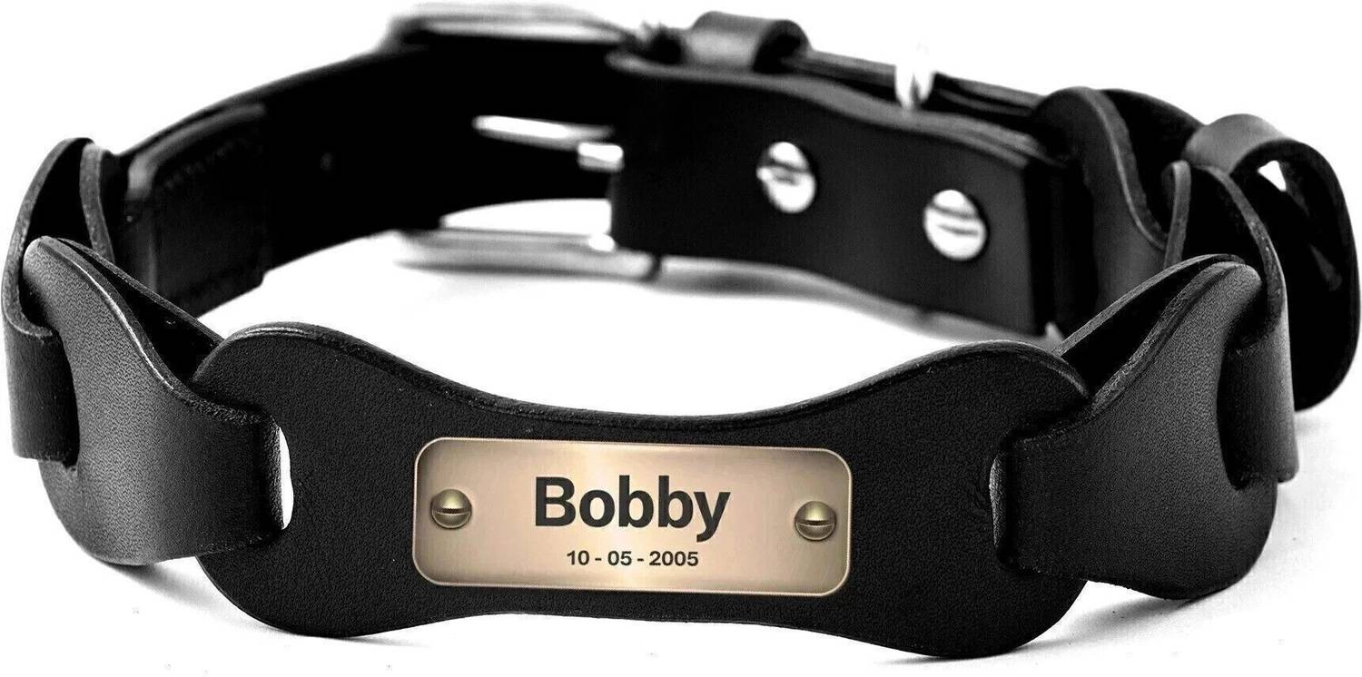 ADIL'S Leather Dog Collar, 12”-16”(Send Pet Details 7307088255) Dog Everyday Collar