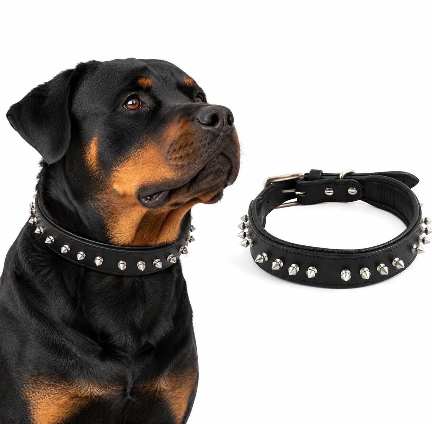 ADIL'S Leather Adjustable Spike Dog Collar (14-18 Inch) | Dog Everyday Collar