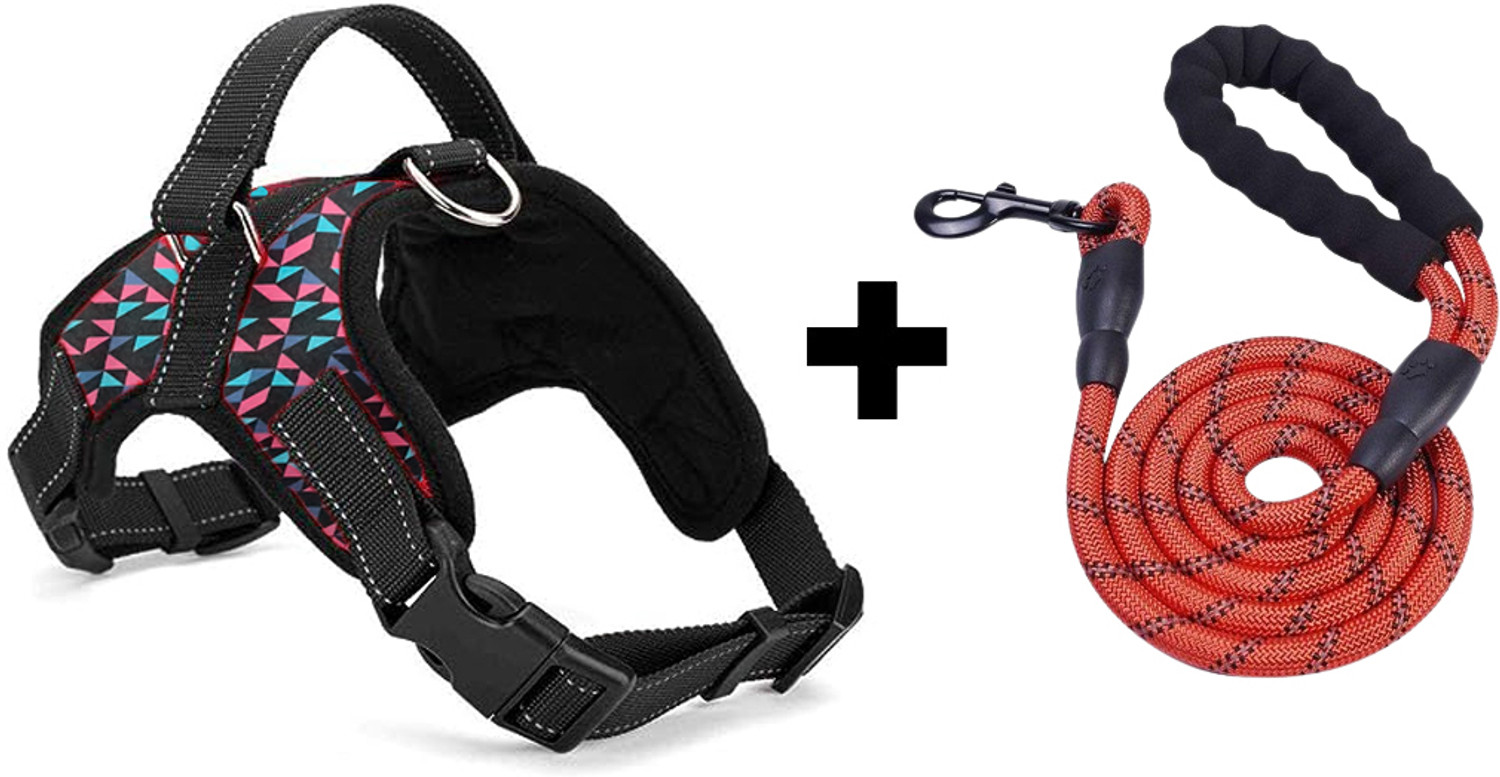 Image of Cocker Dog & Cat Harness & Leash