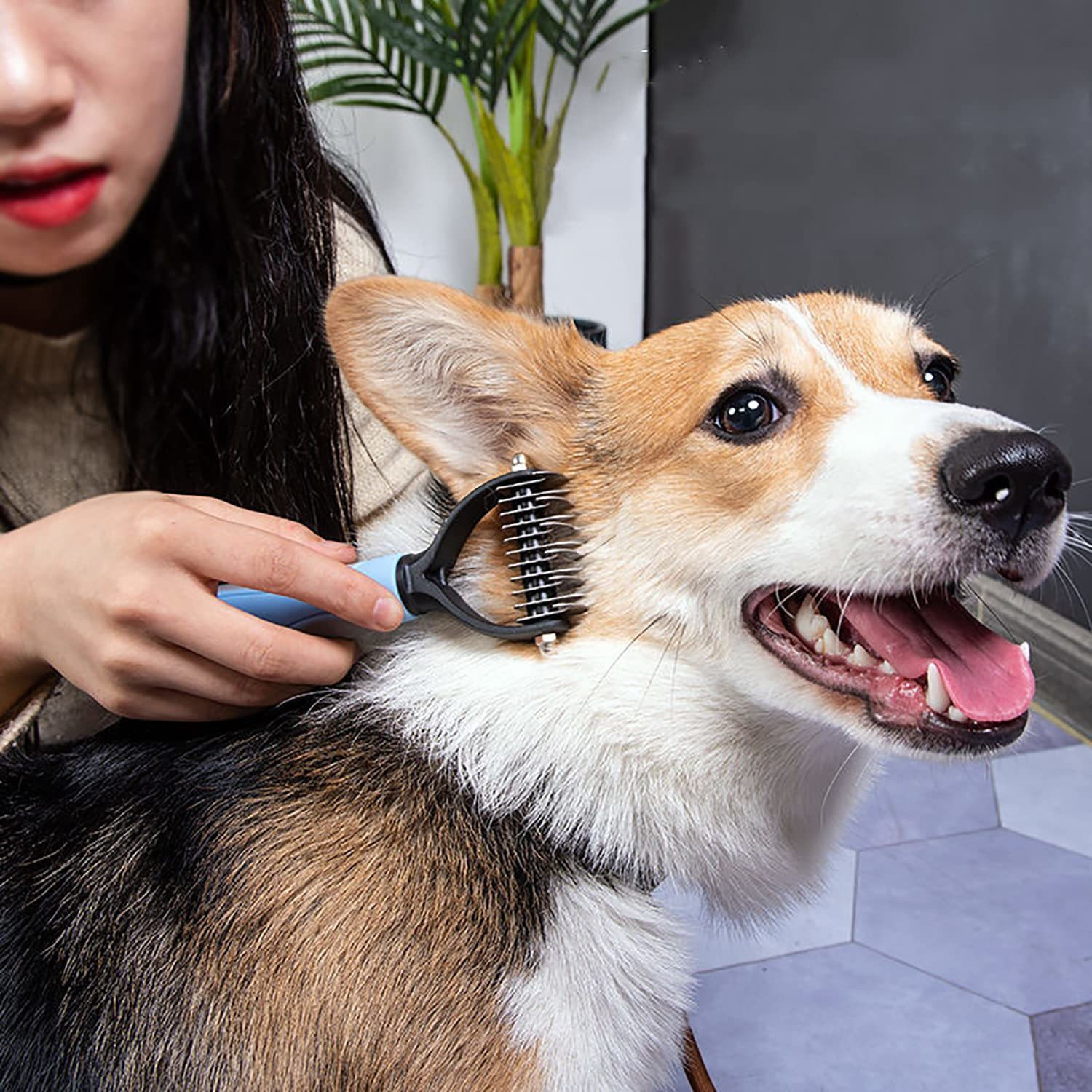 Image of Ratixes PET HAIR COMB Rakes for Cat, Dog, Rabbit Rakes for Dog & Cat, Rabbit