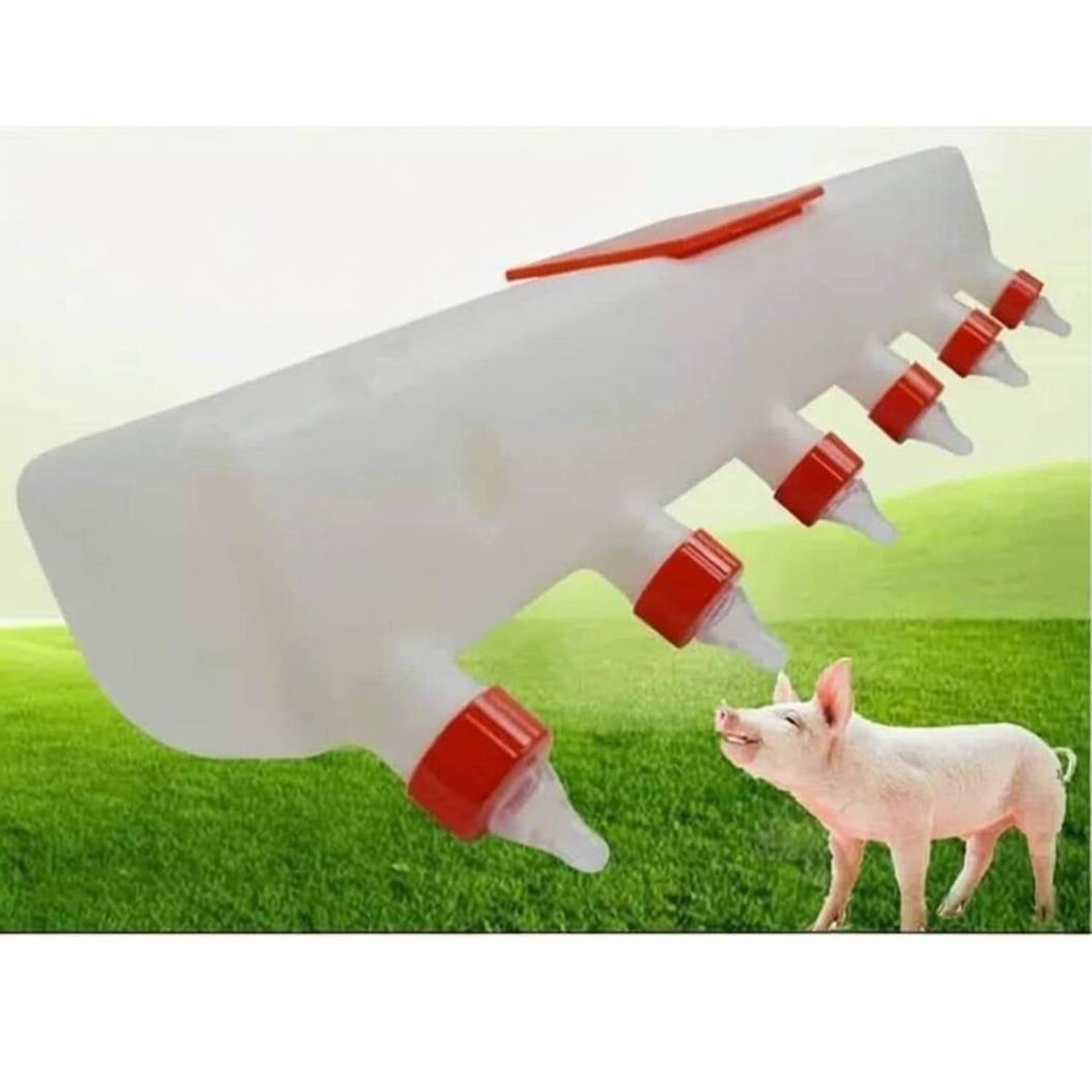 Bethlehem Piglet Milk Feeder box 8 litter capacity 8 sillcon nipple Pet Food Dispenser