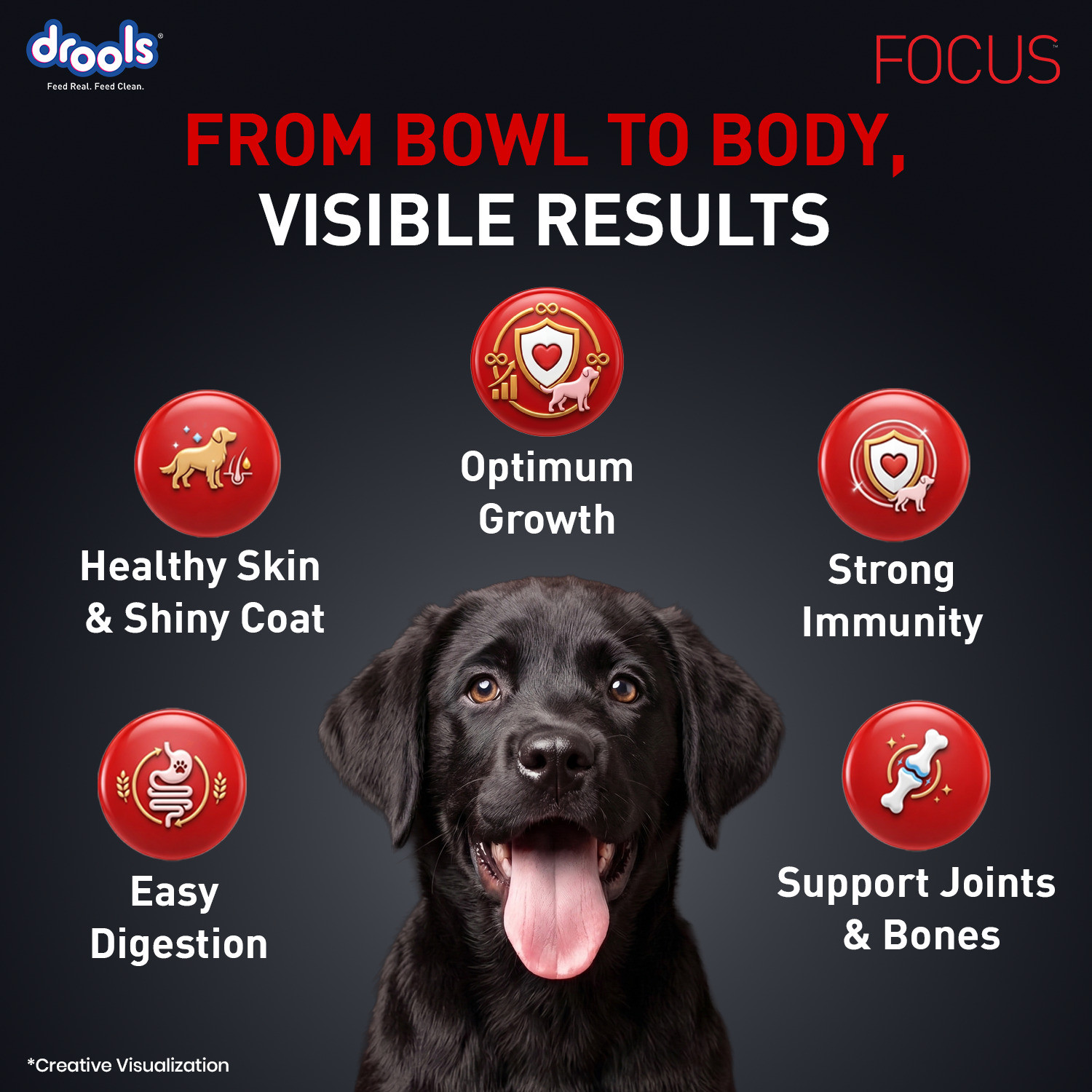 Image of Drools Focus Super Premium Chicken 1.2 kg Dry Young Dog Food