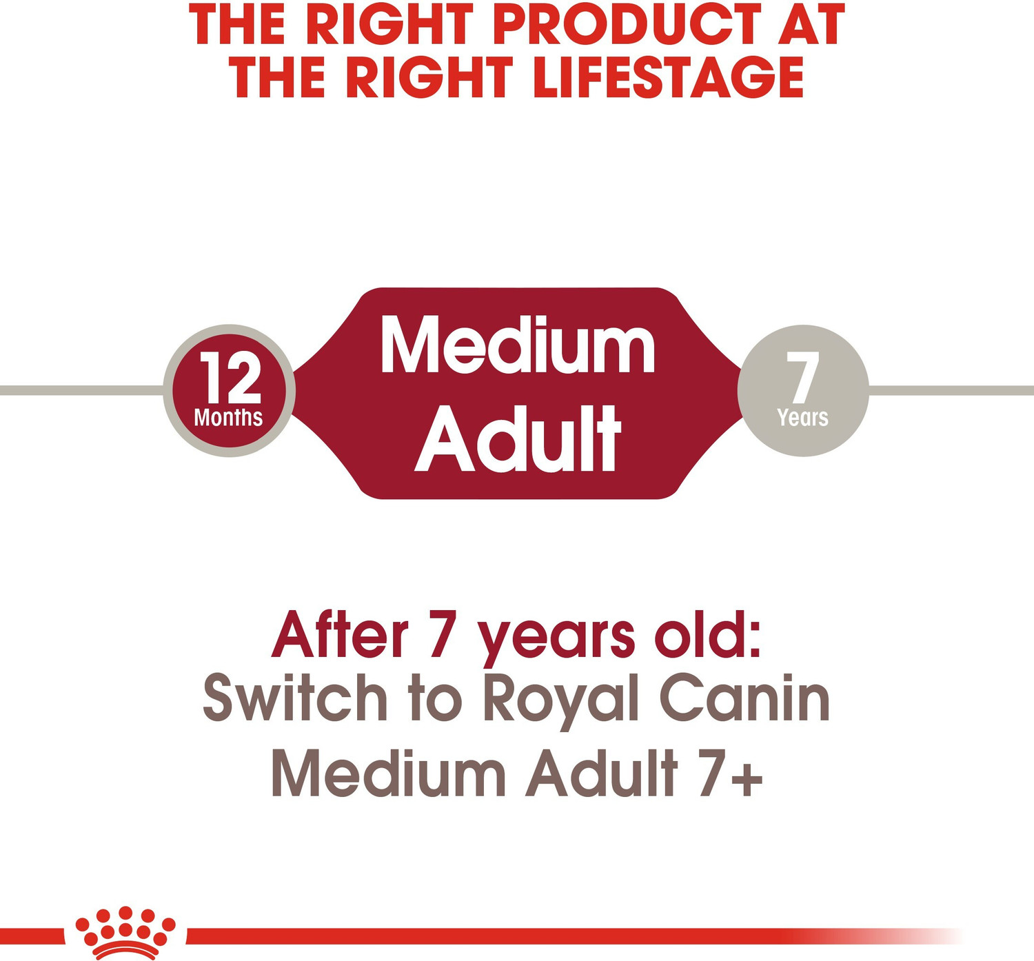 Image of Royal Canin Medium 4 Kg Dry Adult Dog Food