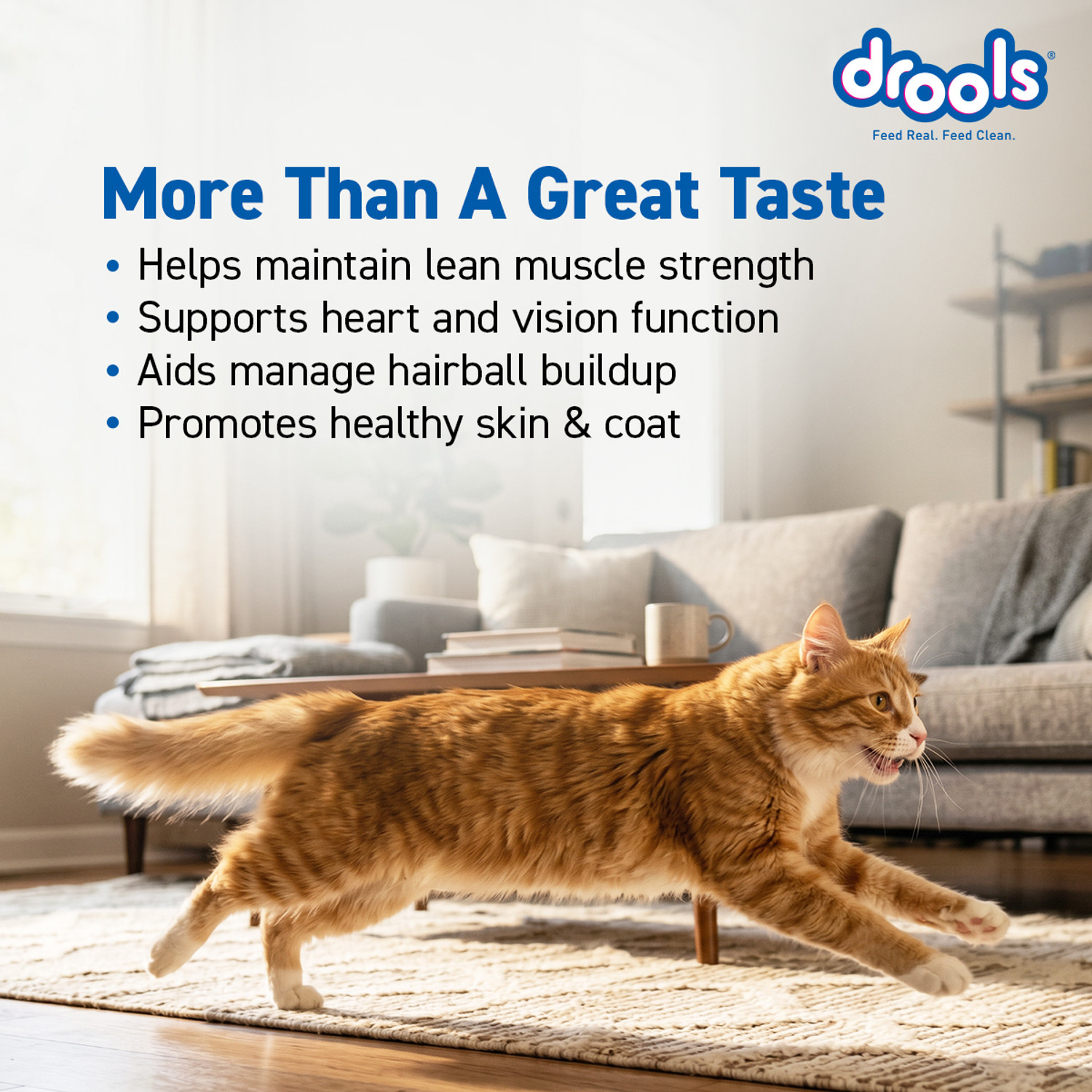 Image of Drools (2.8kg+1kg) Mackerel 3.8 kg (2x1.9 kg) Dry Adult Cat Food