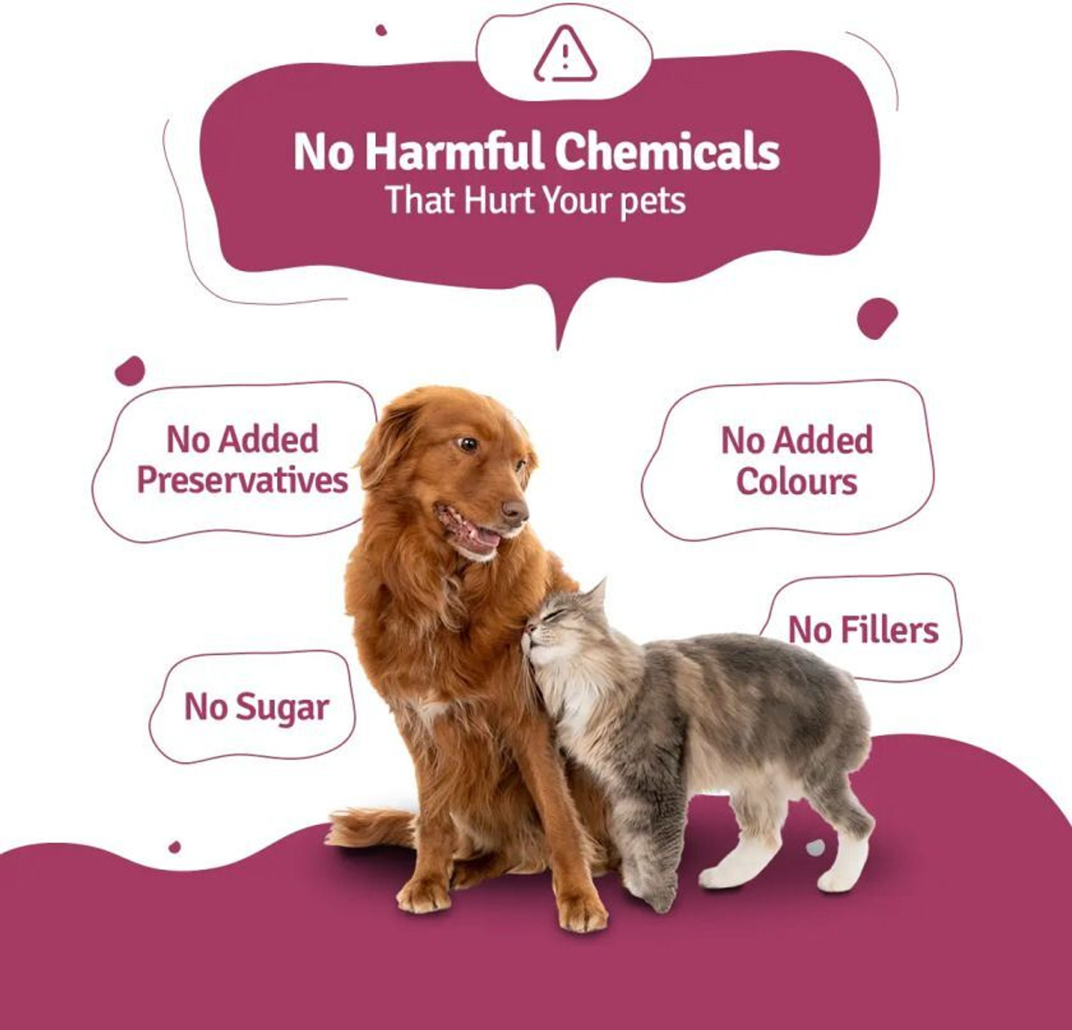 Image of BLEP Human Grade Lamb Broth for Cats & Dogs (100gm) Full Meal & Topper Lamb 0.1 kg Wet Adult, Senior, Young Dog & Cat Food