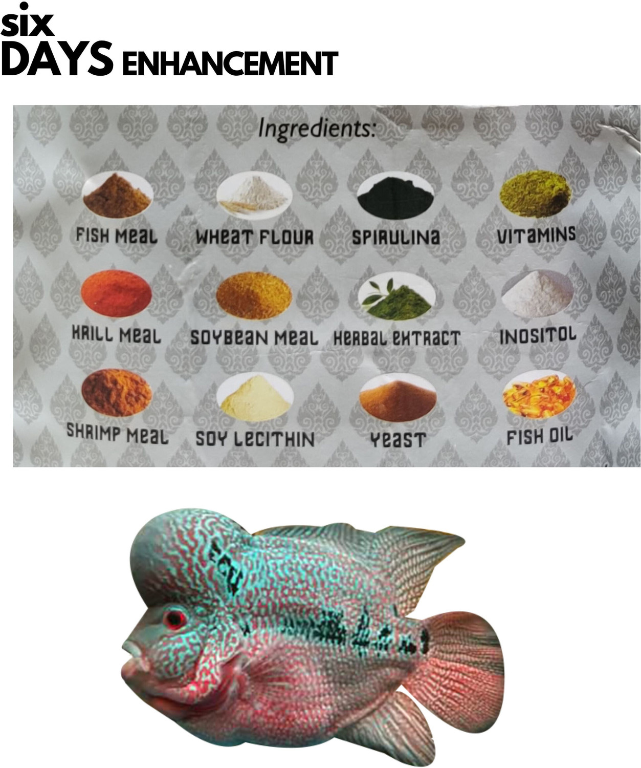 Image of STAR FARMS TUSKER Nutritional Feed of Flowerhorn, 55% protein, Fast growth, Natural color 0.1 kg Dry Adult, Young, New Born Fish Food
