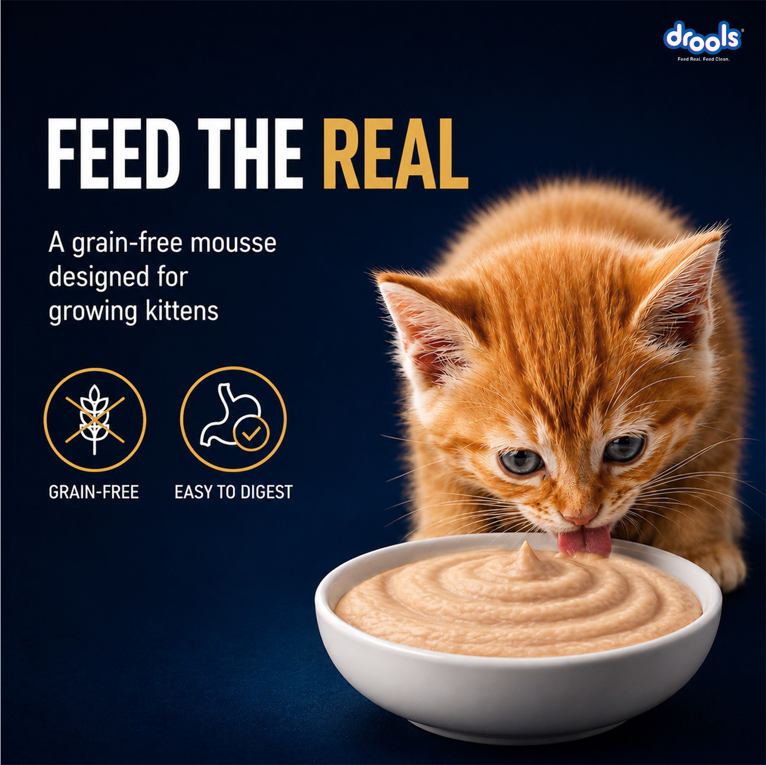 Image of Drools Mousse For Kittens Chicken 0.08 kg Wet Young Cat Food