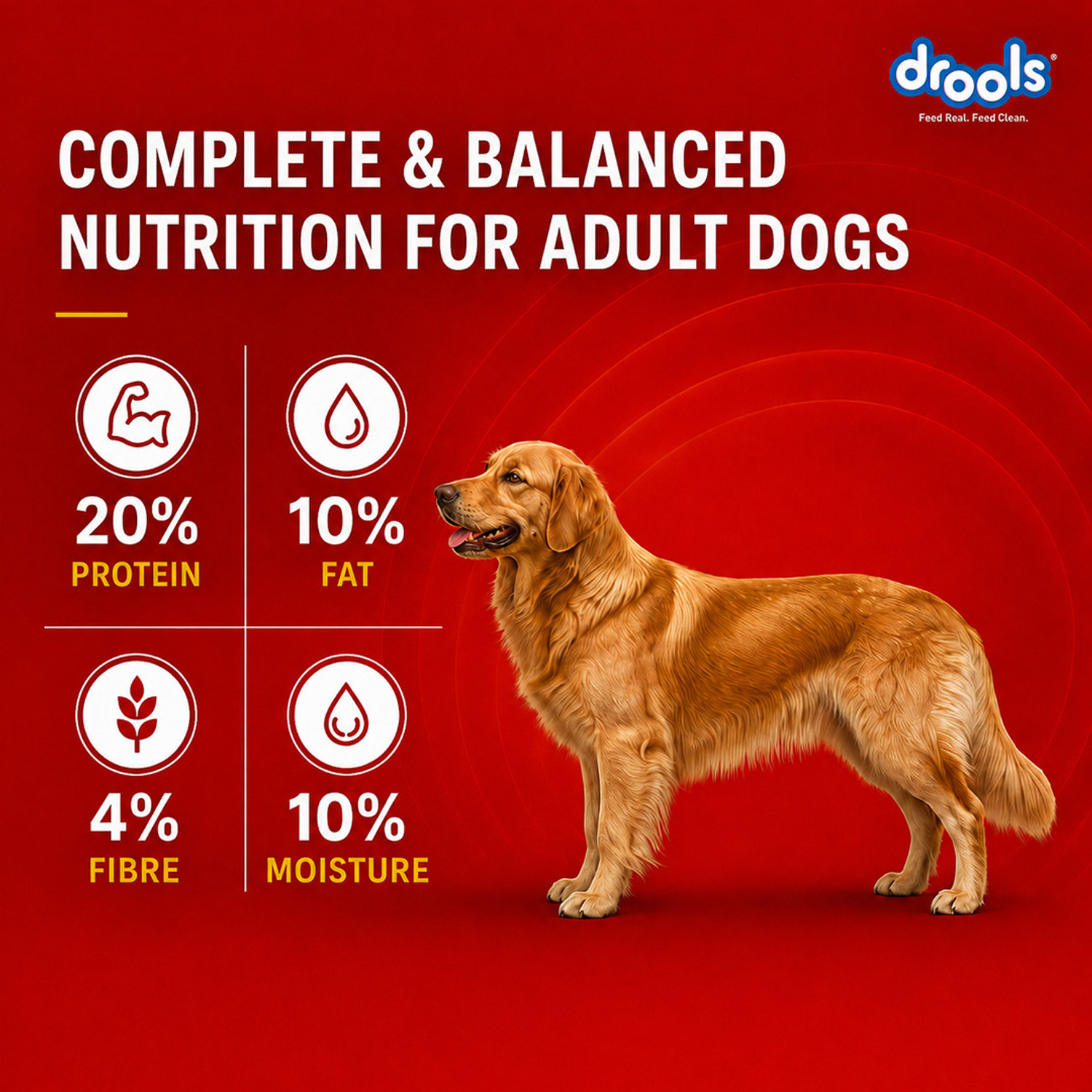 Image of Drools Turkey and Pumpkin 3.8 kg (2x1.9 kg) Dry Adult Dog Food