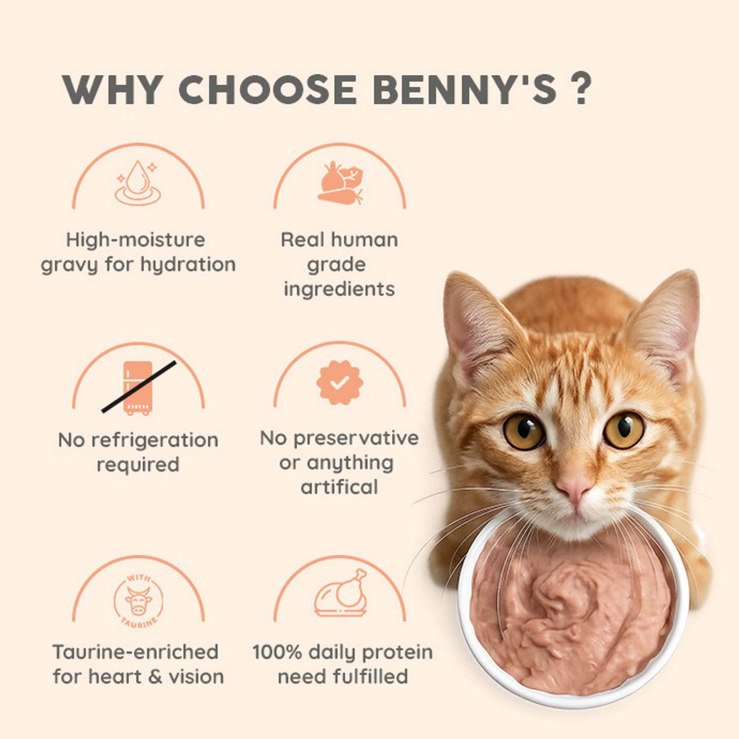 Image of Benny's Bowl Sardine Fish & Chicken Mousse Wet Cat Food - 80g Chicken 0.08 kg Wet All Life Stages Cat Food