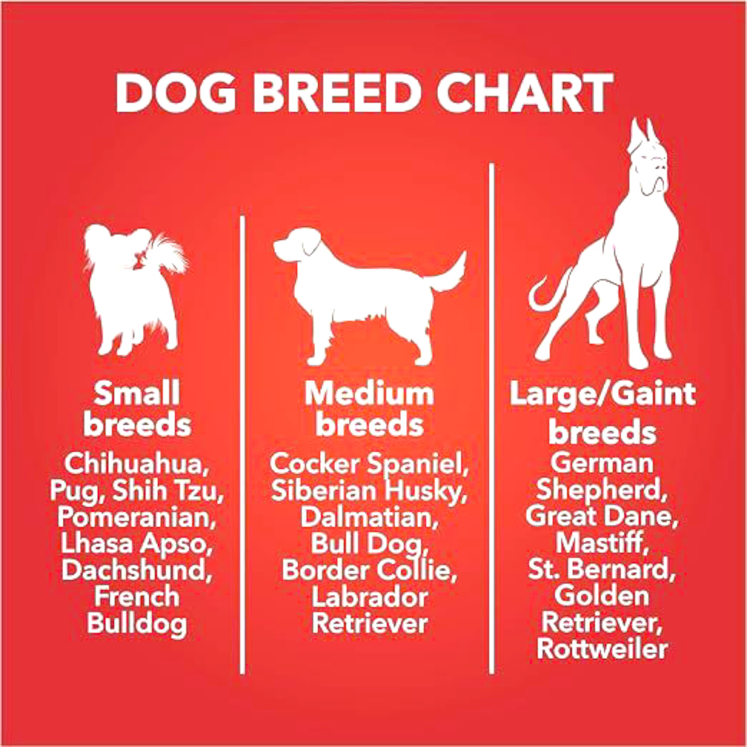 Image of Drools Drools Dog Biscuits Chicken 0.8 kg (2x0.4 kg) Dry All Life Stages Dog Food