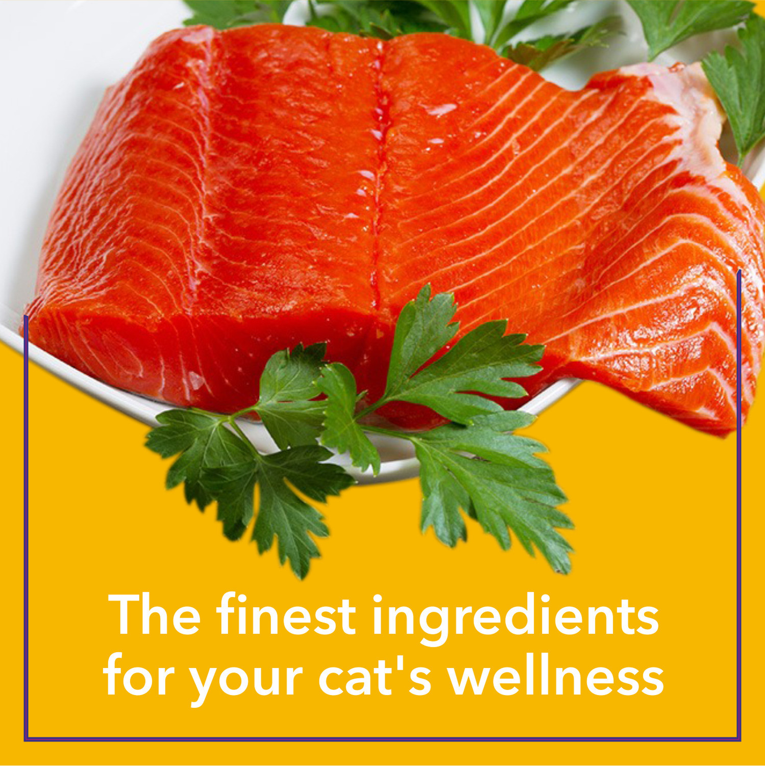 Image of Purepet Real Tuna & Chicken Liver In Gravy Tuna 0.05 kg Wet Adult Cat Food