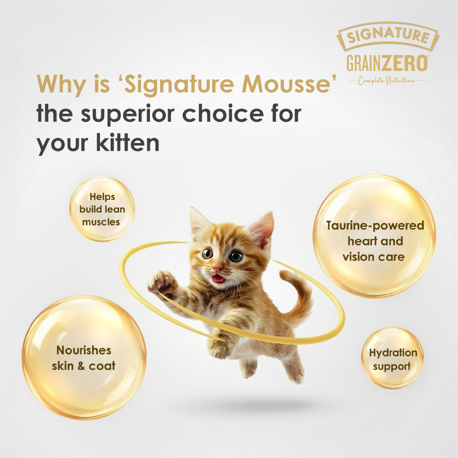 Image of Signature Mousse For Kittens Fish 0.08 kg Wet Young Cat Food