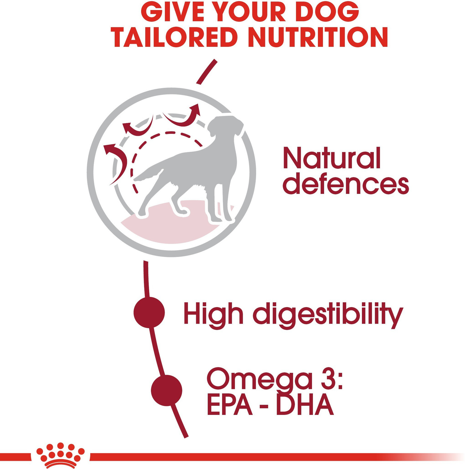 Image of Royal Canin Medium 4 Kg Dry Adult Dog Food