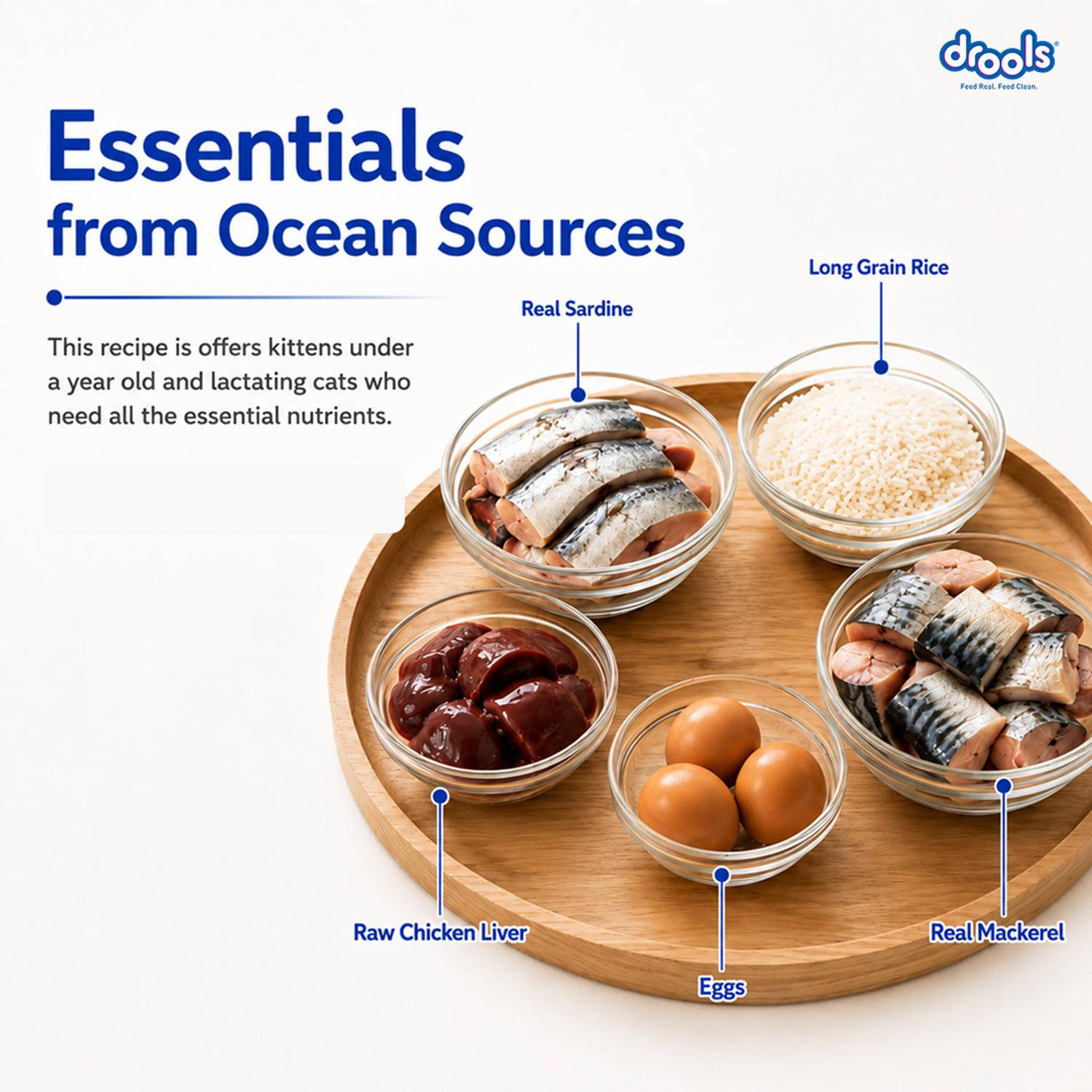 Drools Ocean Fish 1.2 kg Dry Cat Food - Image 3