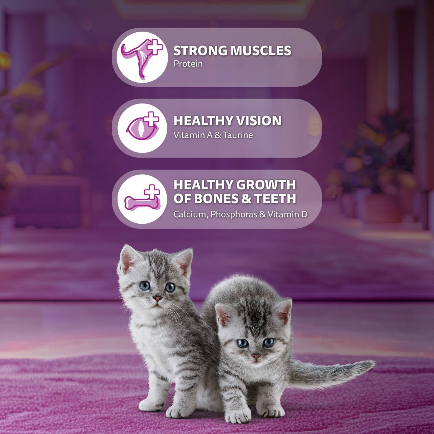 Whiskas Mackerel 3 kg Dry Kitten Food - Image 4