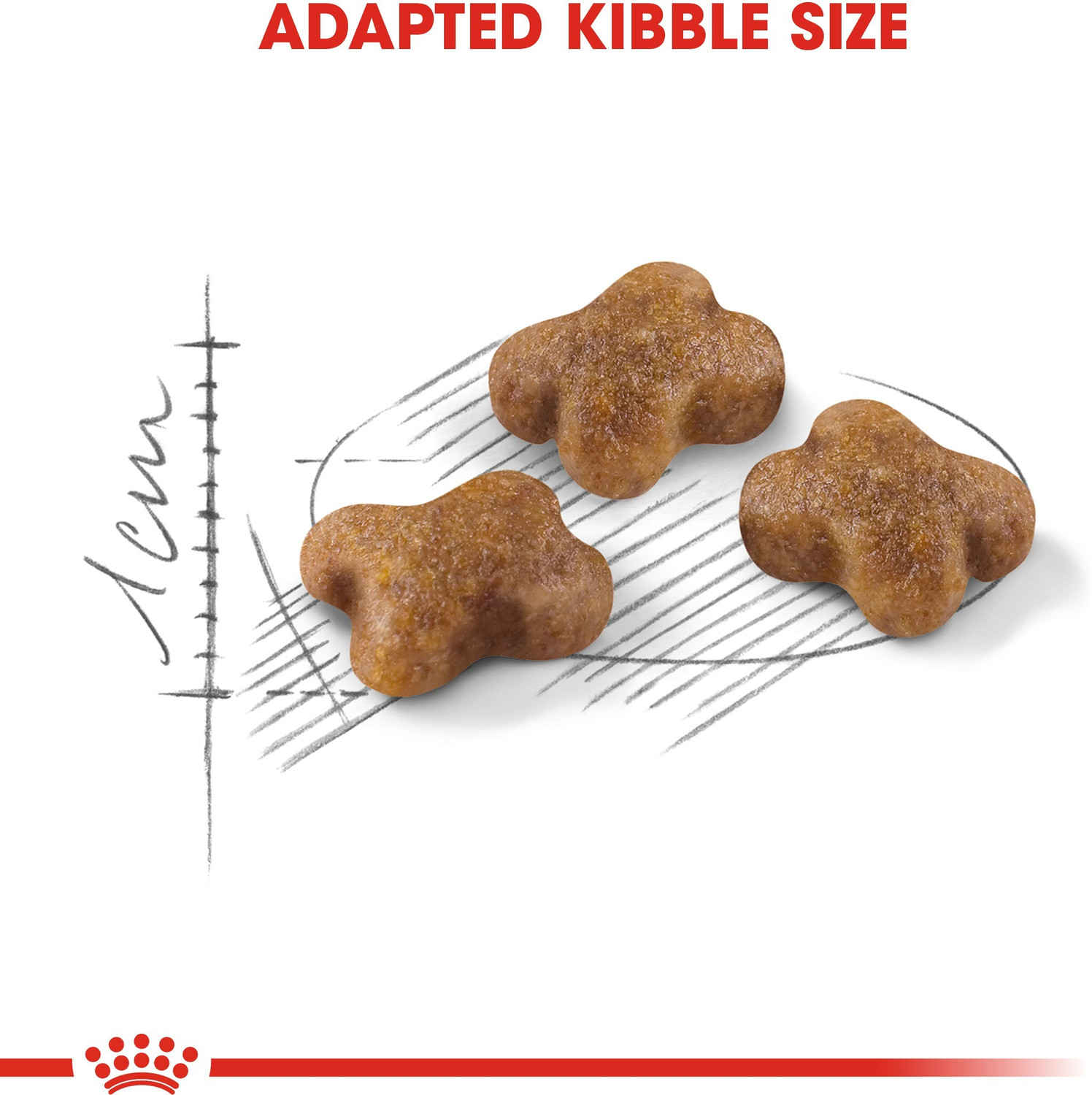 Image of Royal Canin Kitten 0.4 kg Dry Young Cat Food