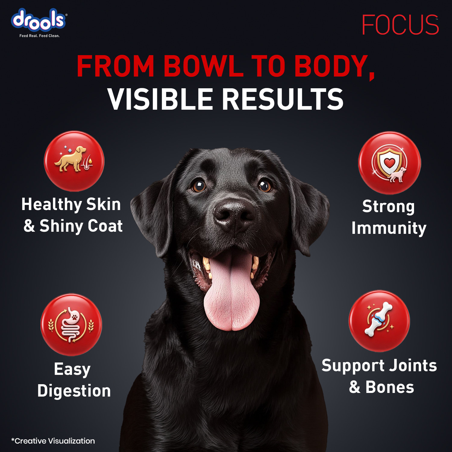 Image of Drools Focus Super Premium Chicken 1.2 kg Dry Adult Dog Food