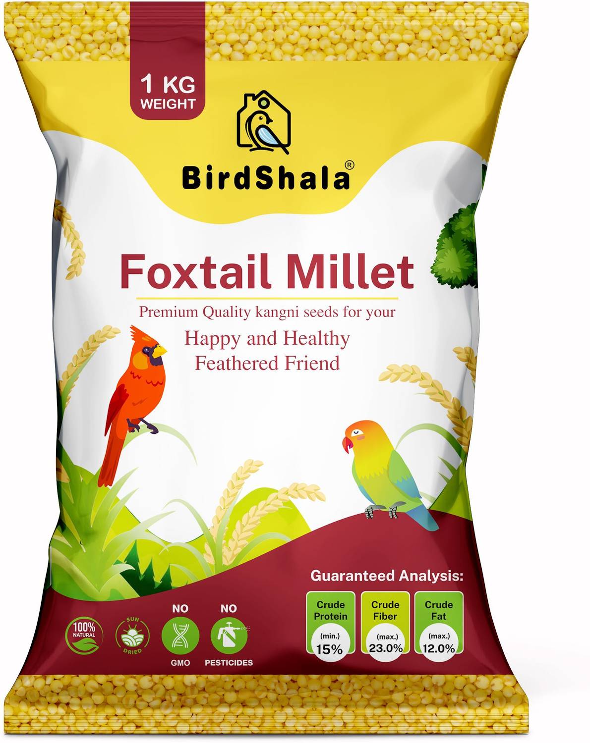 BIRDSHALA Unpolished Foxtail Millet (Kangni) for Small Pet & Wild Birds – 100% Natural Nuts 1 kg Dry Adult, Young Bird Food