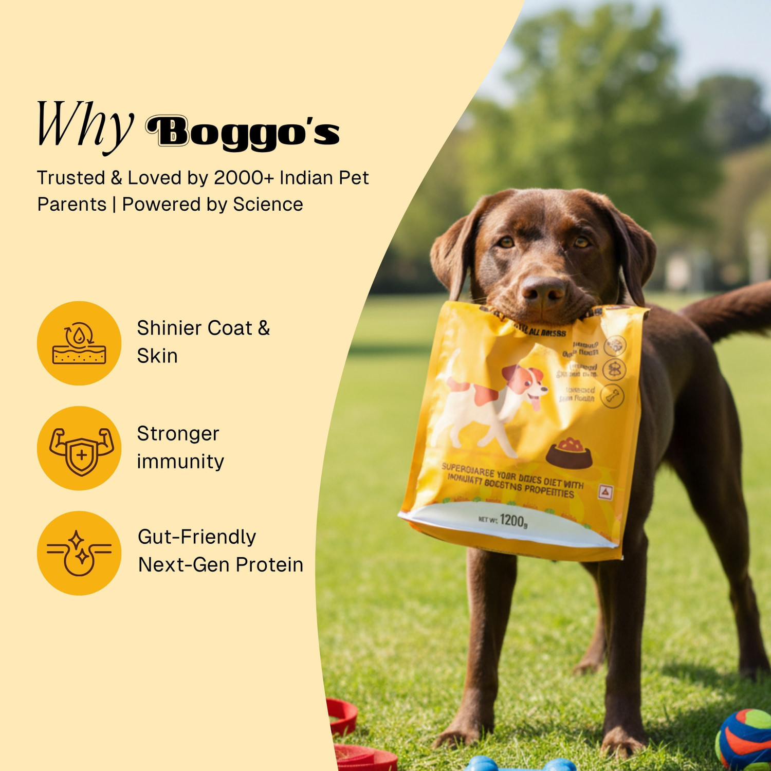 Image of Boggos Superfood Dry Kibbles Ideal for Adult Dogs of All Breeds, Rice and Chicken 1.2 kg Dry All Life Stages Dog Food
