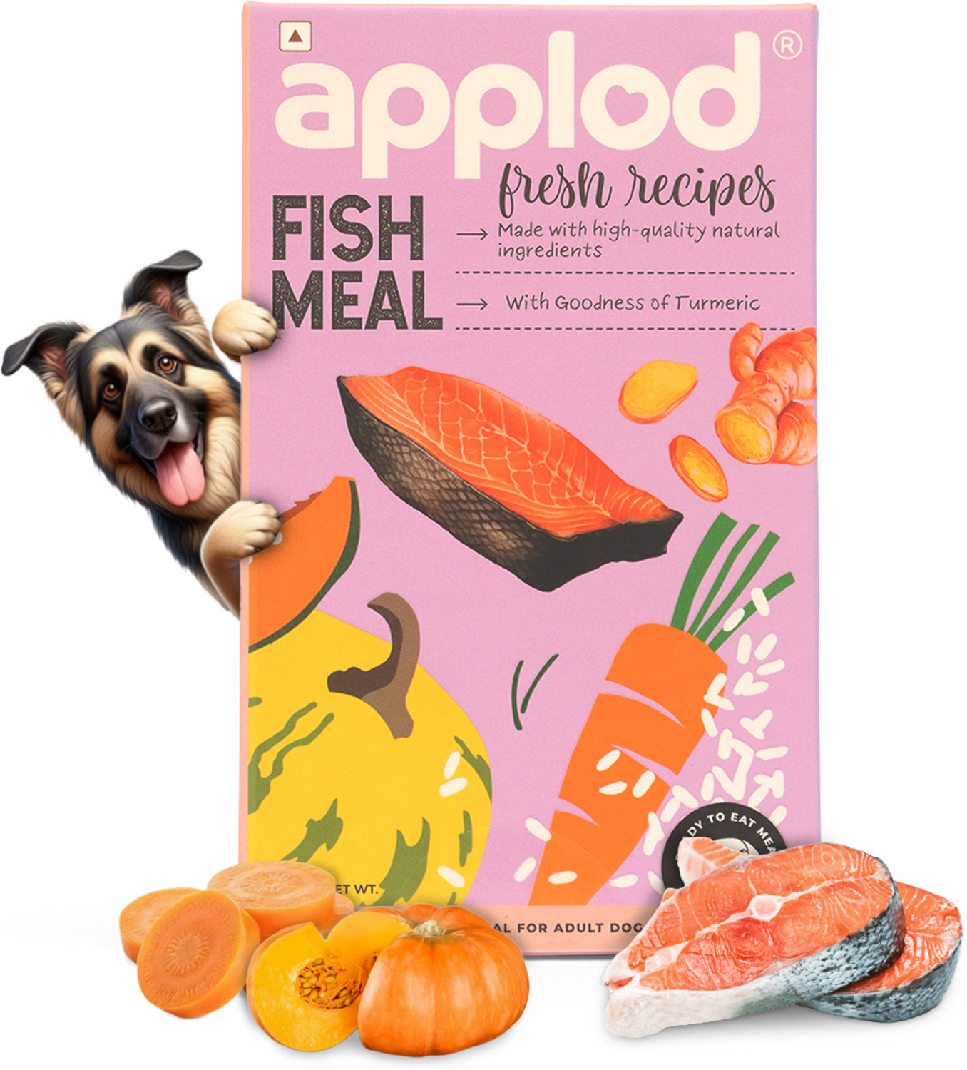 Image of Applod Fish Meal Fresh Dog Food Made with High Protein, Tasty & Healthly Food Fresh Fish 0.1 kg Wet Young, Adult, Senior Dog Food