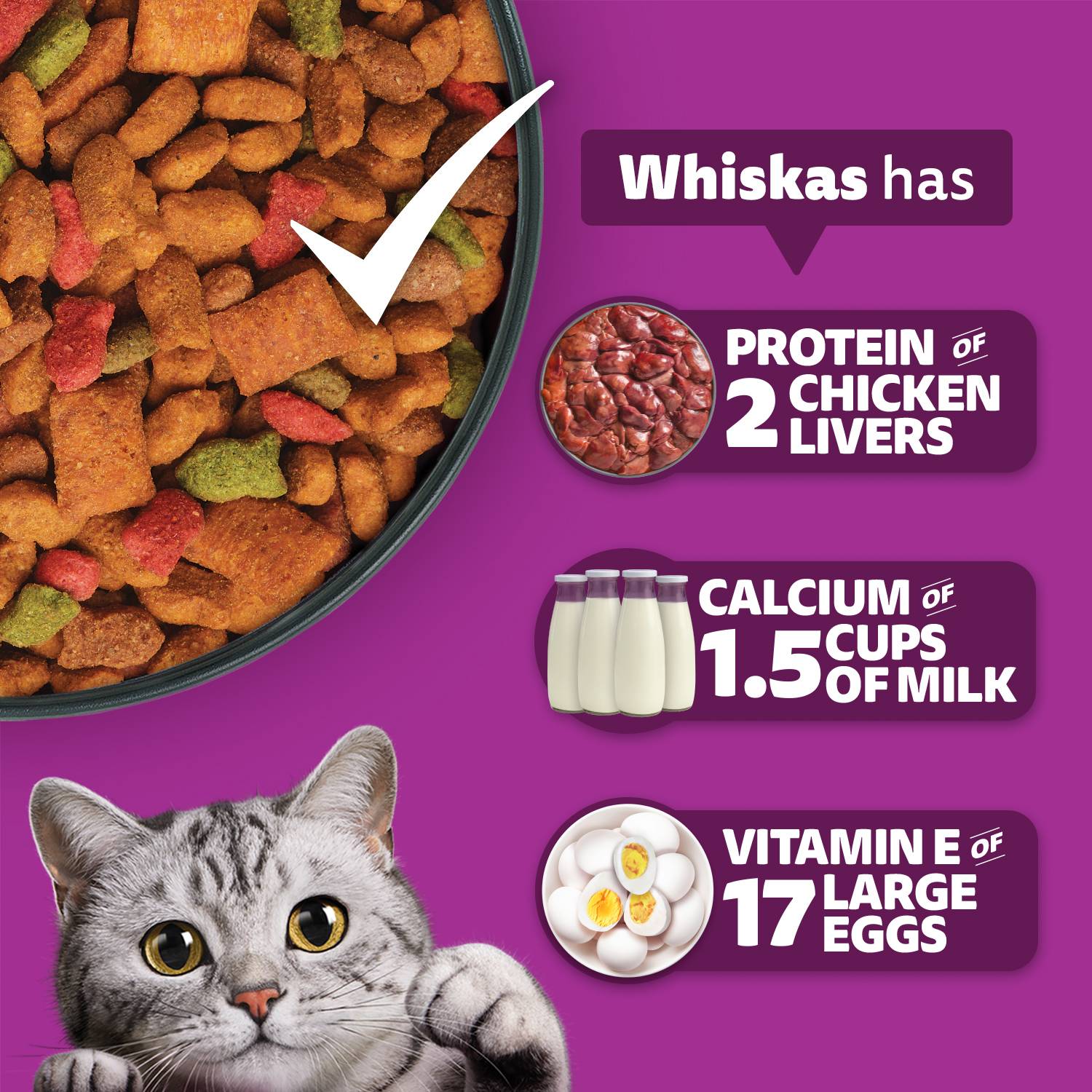 Whiskas Fish 3 kg Dry Adult Cat Food - Image 5