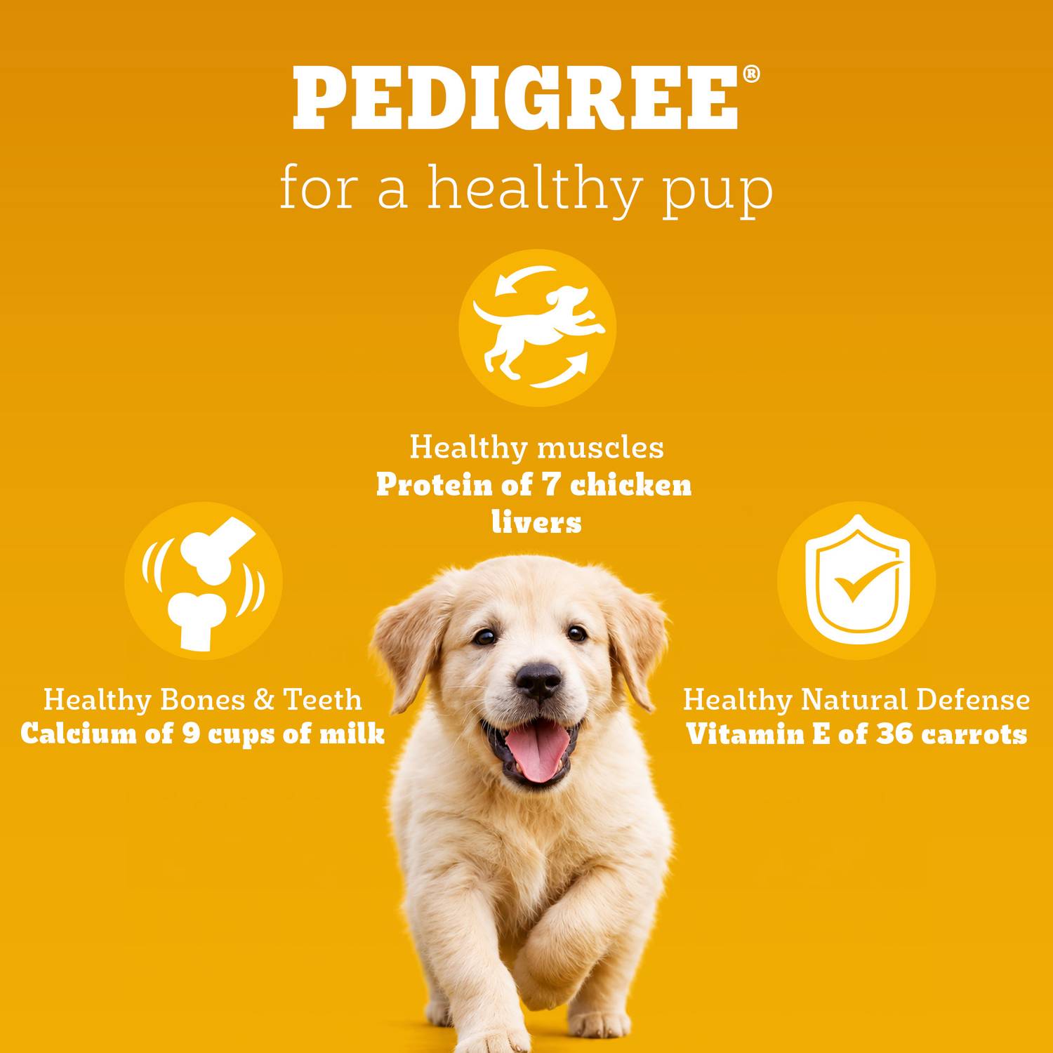 100% Complete & Balanced Nutrition Chicken, Milk 3 kg Dry Young Dog Food - Image 5