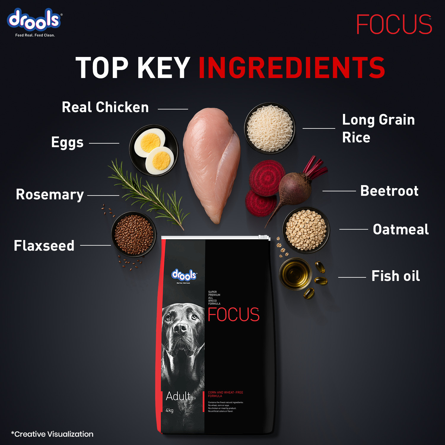 Image of Drools Focus Super Premium Chicken 1.2 kg Dry Adult Dog Food