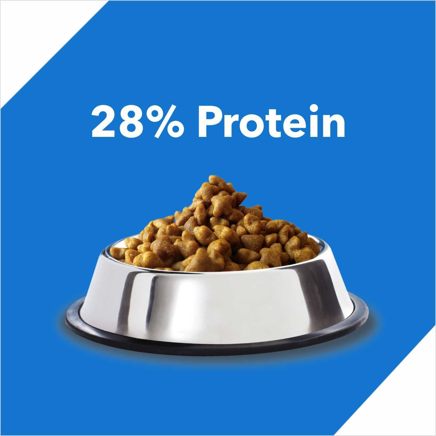 Image of Drools Real Complete Nutrition Mackerel 7 kg Dry Adult Cat Food
