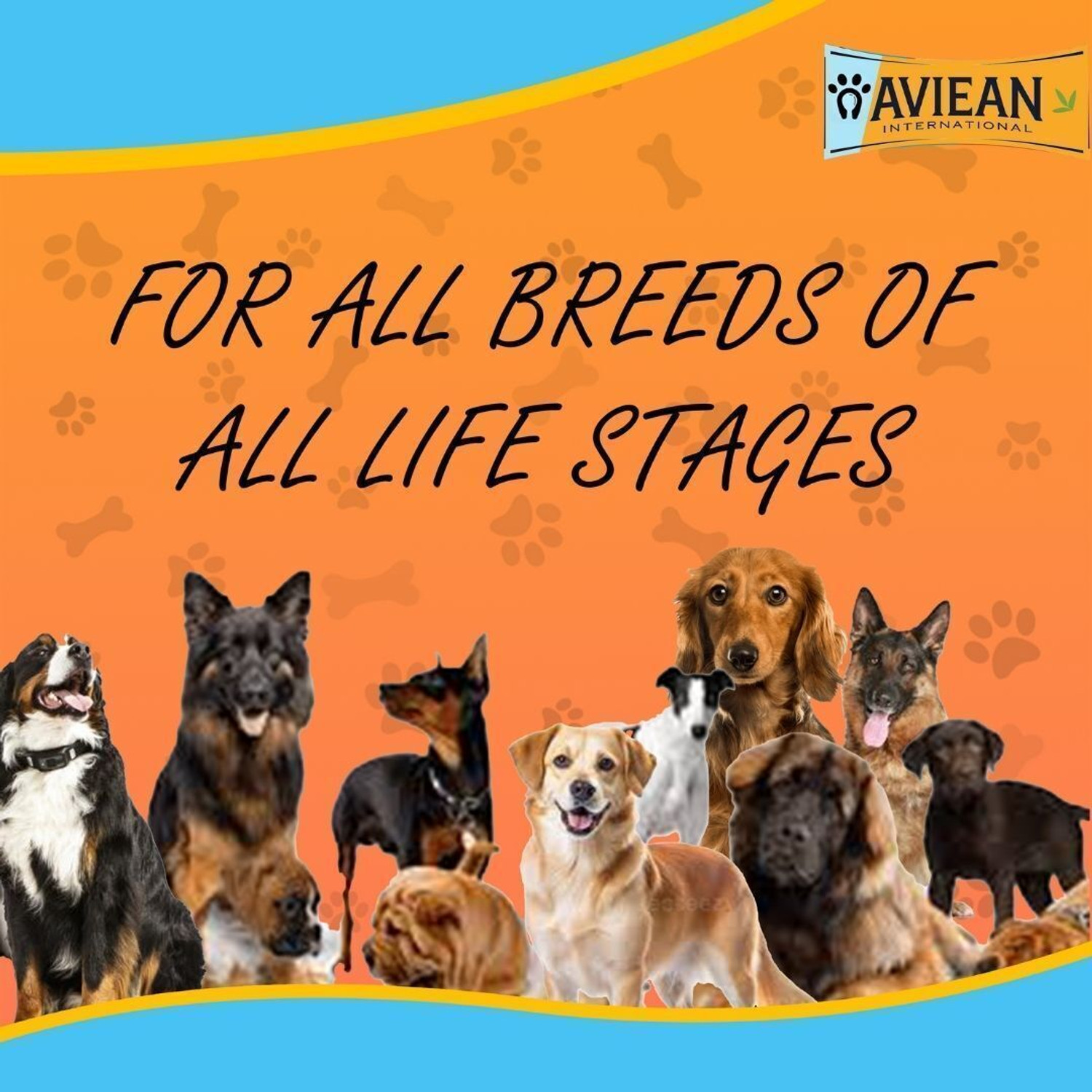 Image of Aviean International Calcium Pressed Bone 6 Piece, Bone Size 5 Inch Mutton Dog Chew Egg, Chicken, Mutton Dog Chew