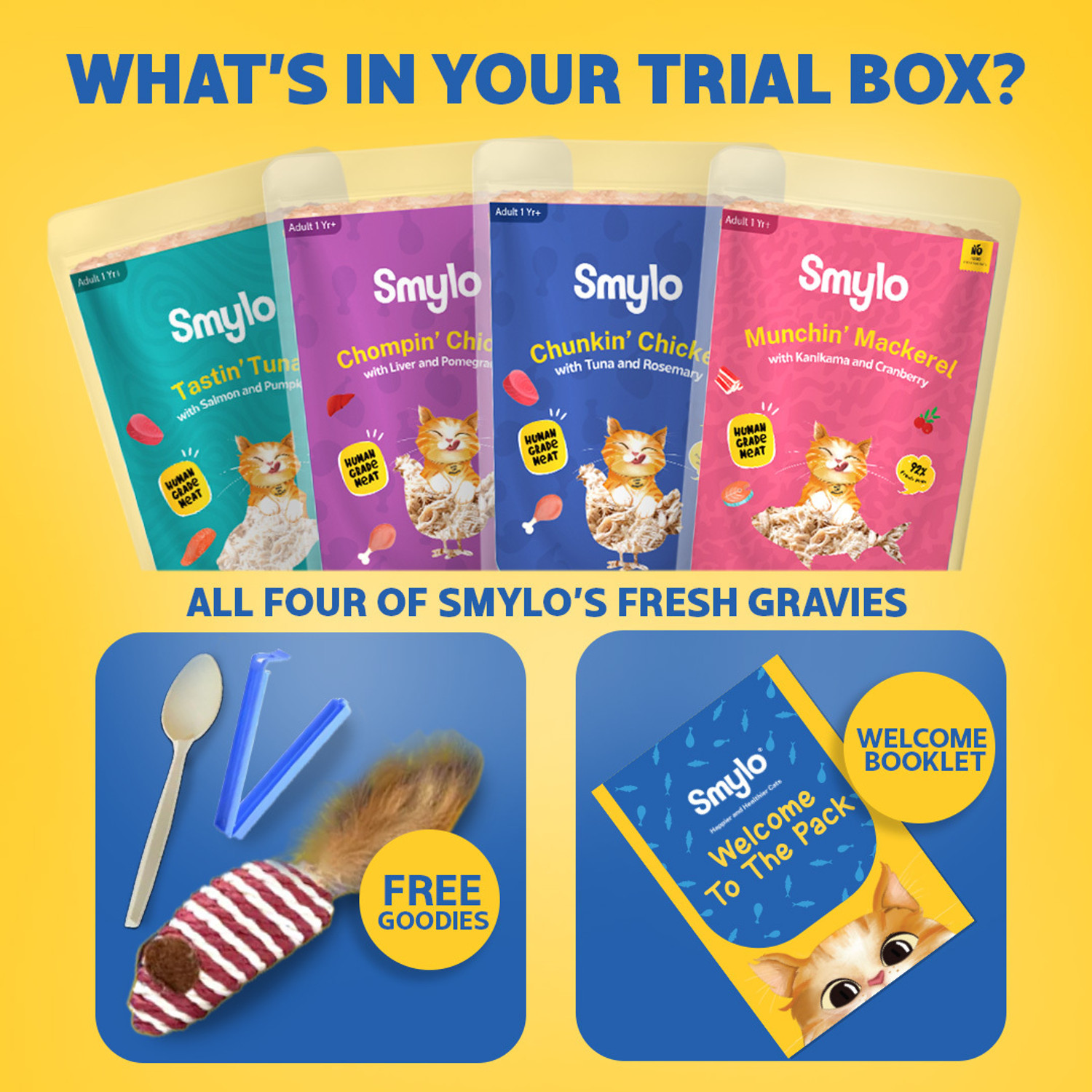 Image of Smylo Natural Healthy Wet Cat Food Trial Box (1+ yrs) Tuna, Salmon, Mackerel, Chicken, Liver 0.28 kg (4x0.07 kg) Wet Adult Cat Food
