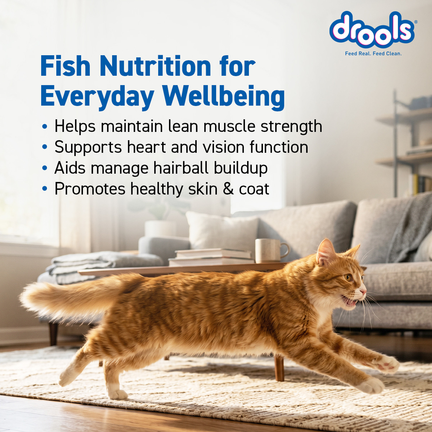 Image of Drools Creamy Treat 75g with 1kg Tuna & Tuna, Salmon 1.075 kg (2x0.54 kg) Dry Adult Cat Food