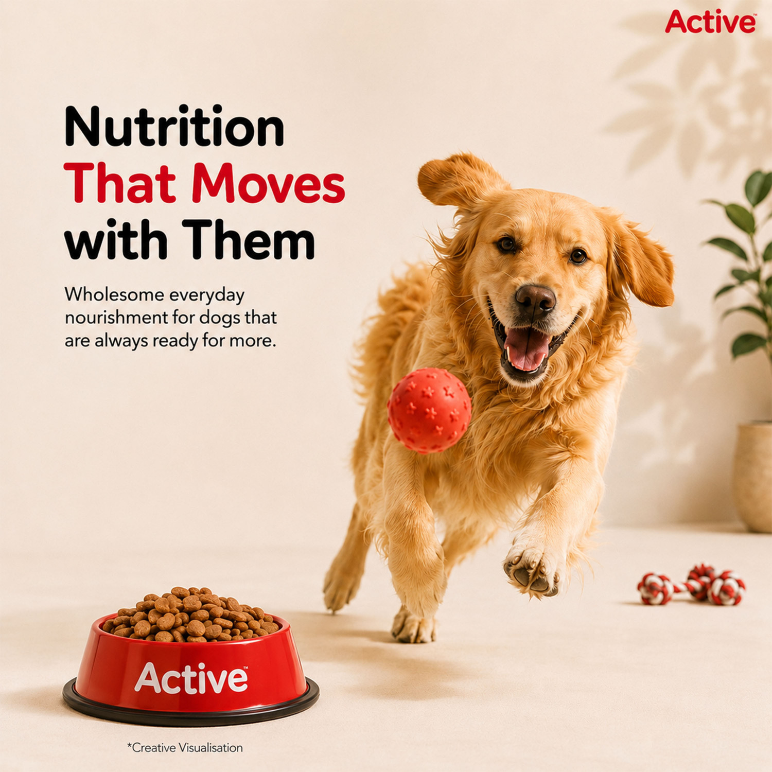 Image of Active Chicken and Vegetable 20 kg (2x10 kg) Dry Adult Dog Food