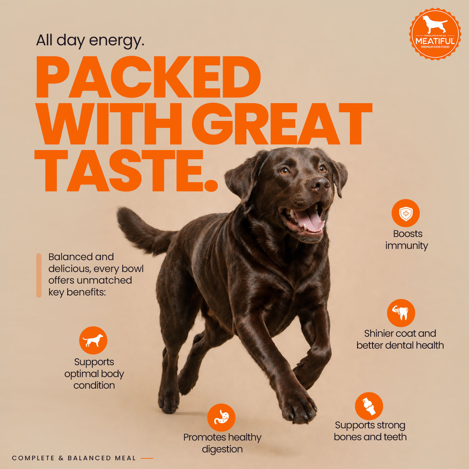 Image of Meatiful Chicken with Eggs, Liver and Nutritious Vegetables Chicken 20 kg Dry Adult Dog Food