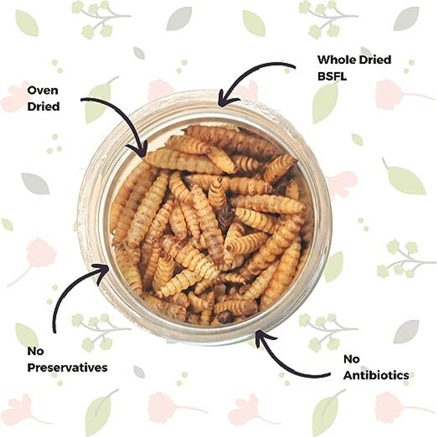 AKSHAT ENTERPRISES KEETUP Dried Black Soldier Fly Larvae Treat 100gm Sea Food 0.1 kg Dry Adult, New Born, Senior, Young Fish Food