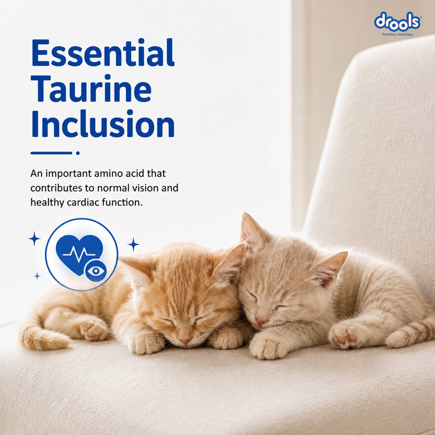Drools Ocean Fish 1.2 kg Dry Cat Food - Image 5